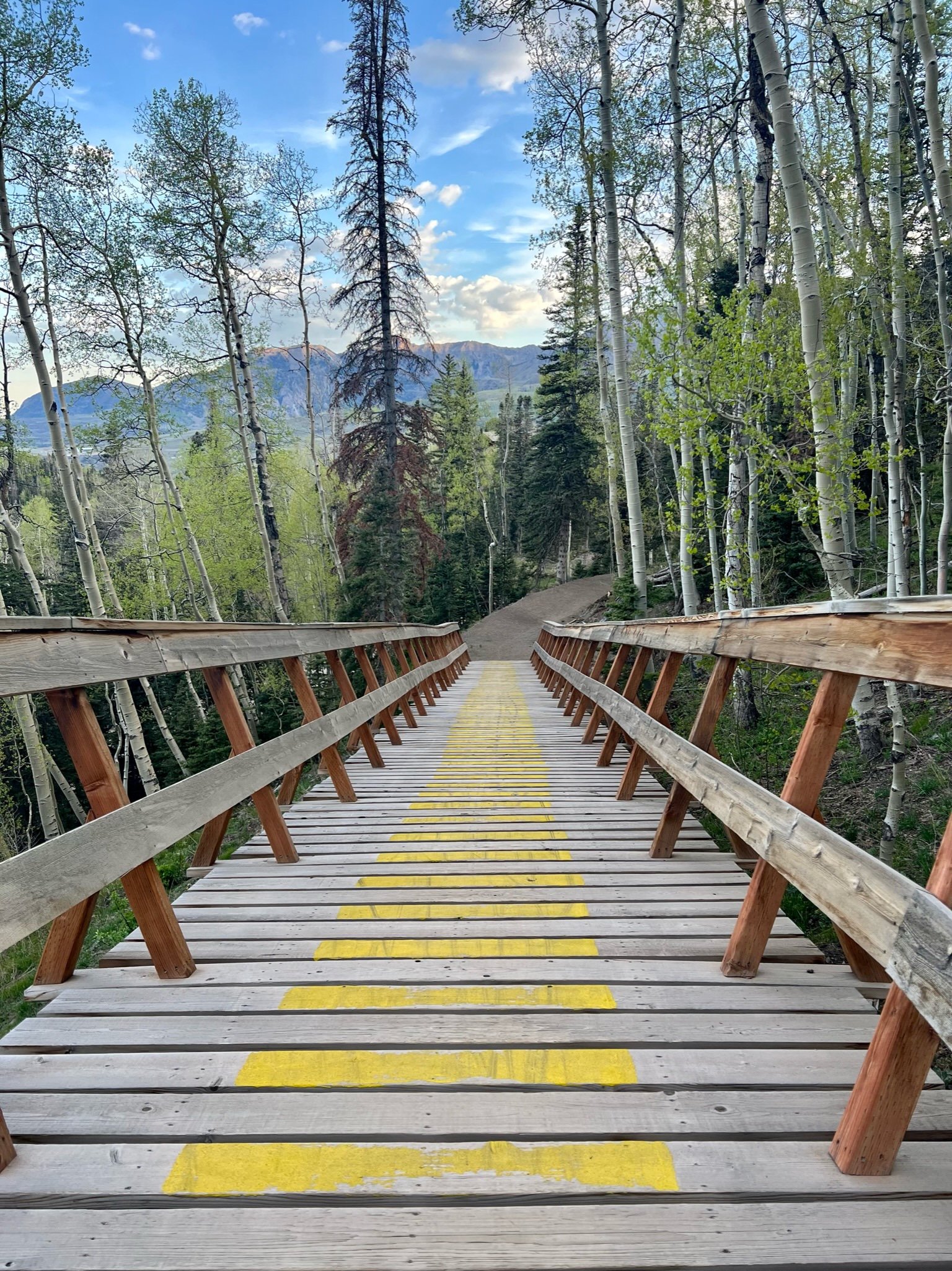 A Line Adventure Telluride.jpeg