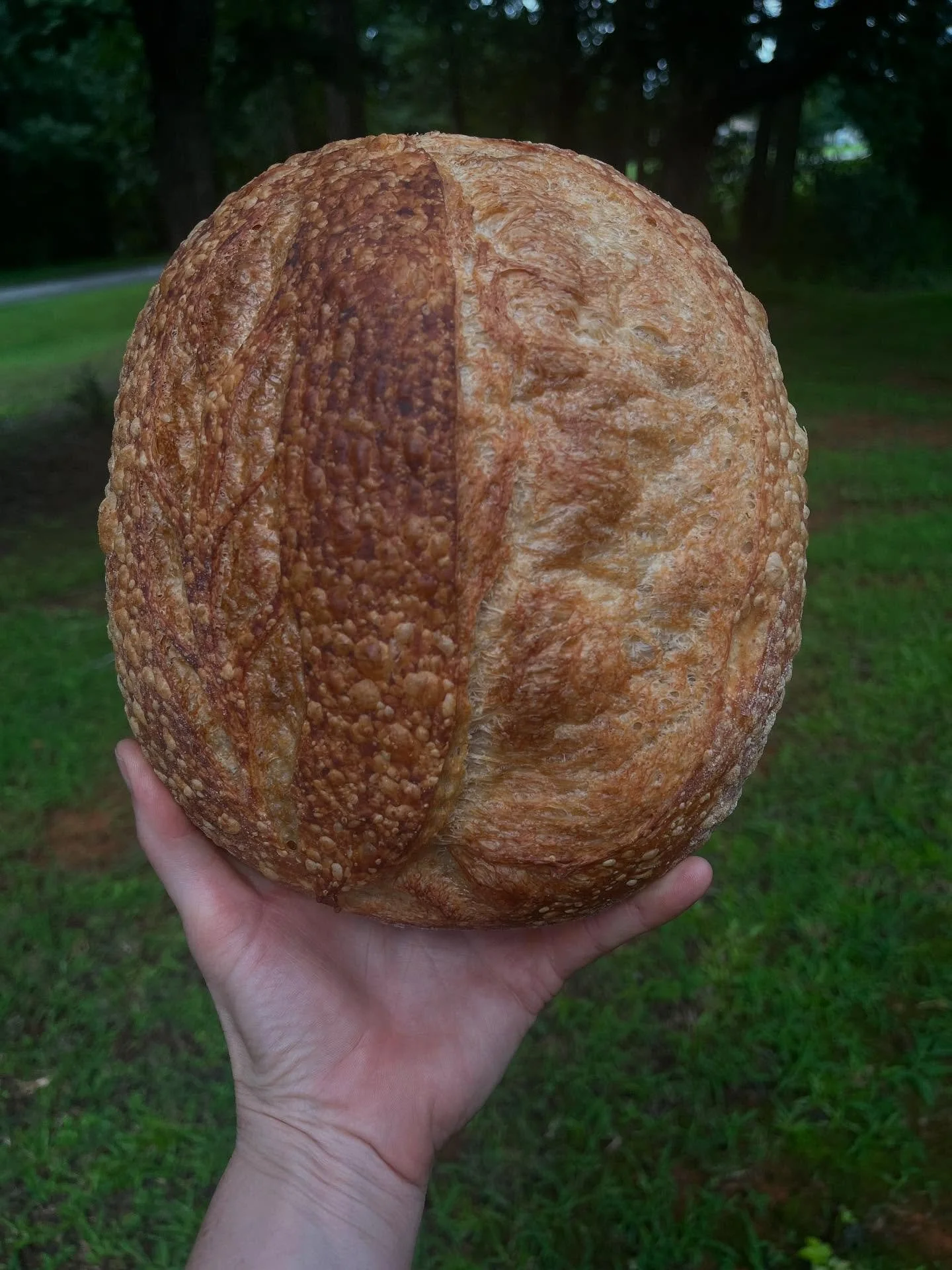 Today was another, deeper ending: we did our last wholesale deliveries! Get to our partners if you want to score the last loaf (or 2!) before they are gone. It was a beautiful bake And I am so proud of what our little team produced week in and week o