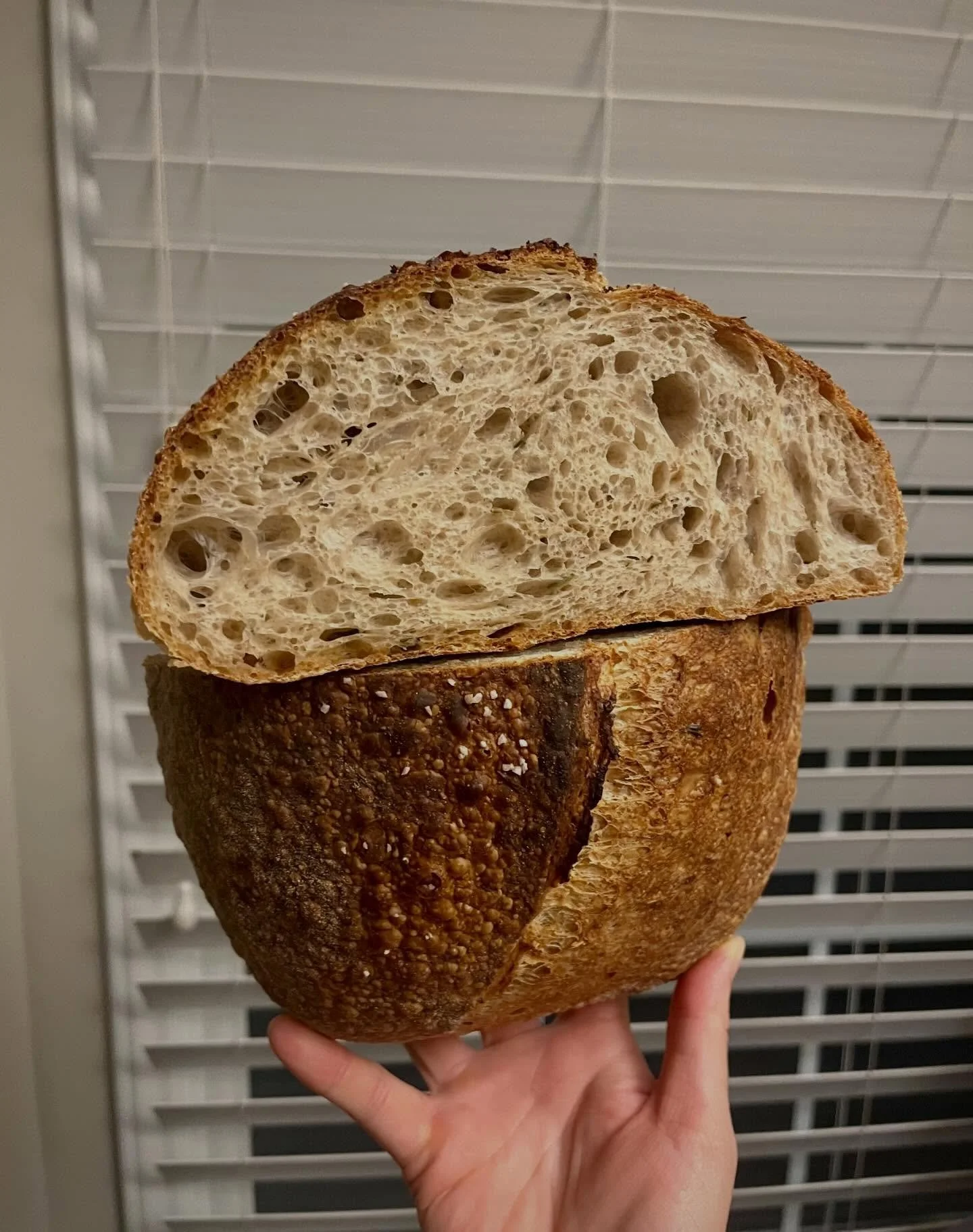 Thanksgiving bread (tried 4 loaves in the oven with minor success), and a chocolate pecan/pumpkin cheesecake pie! closest thing to a &ldquo;pake&rdquo; (pie/cake for all my non Drop Dead Diva fans) I&rsquo;ve ever made!

I also hand laminated croissa