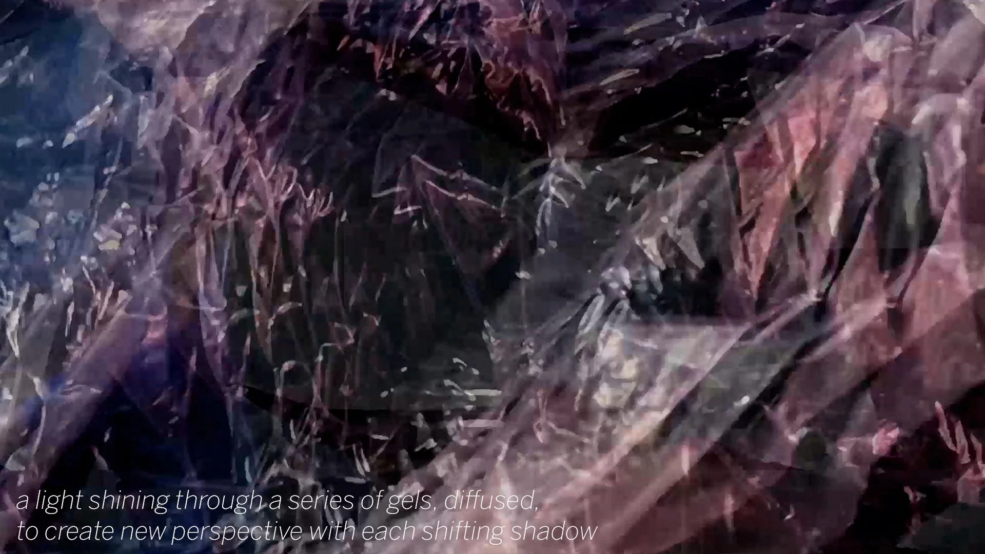 clay_scofield_a nature documentary 02.jpeg