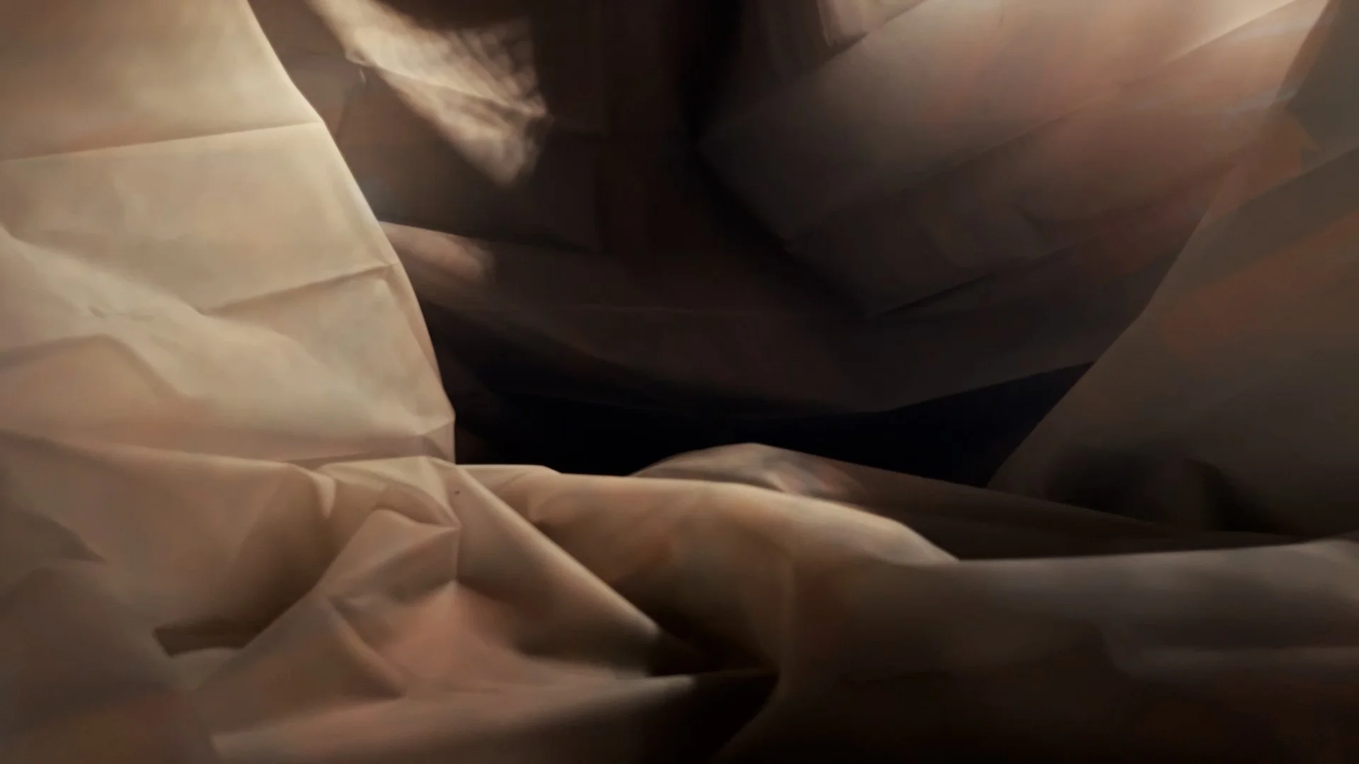 clay scofield_a nature documentary 6.jpg