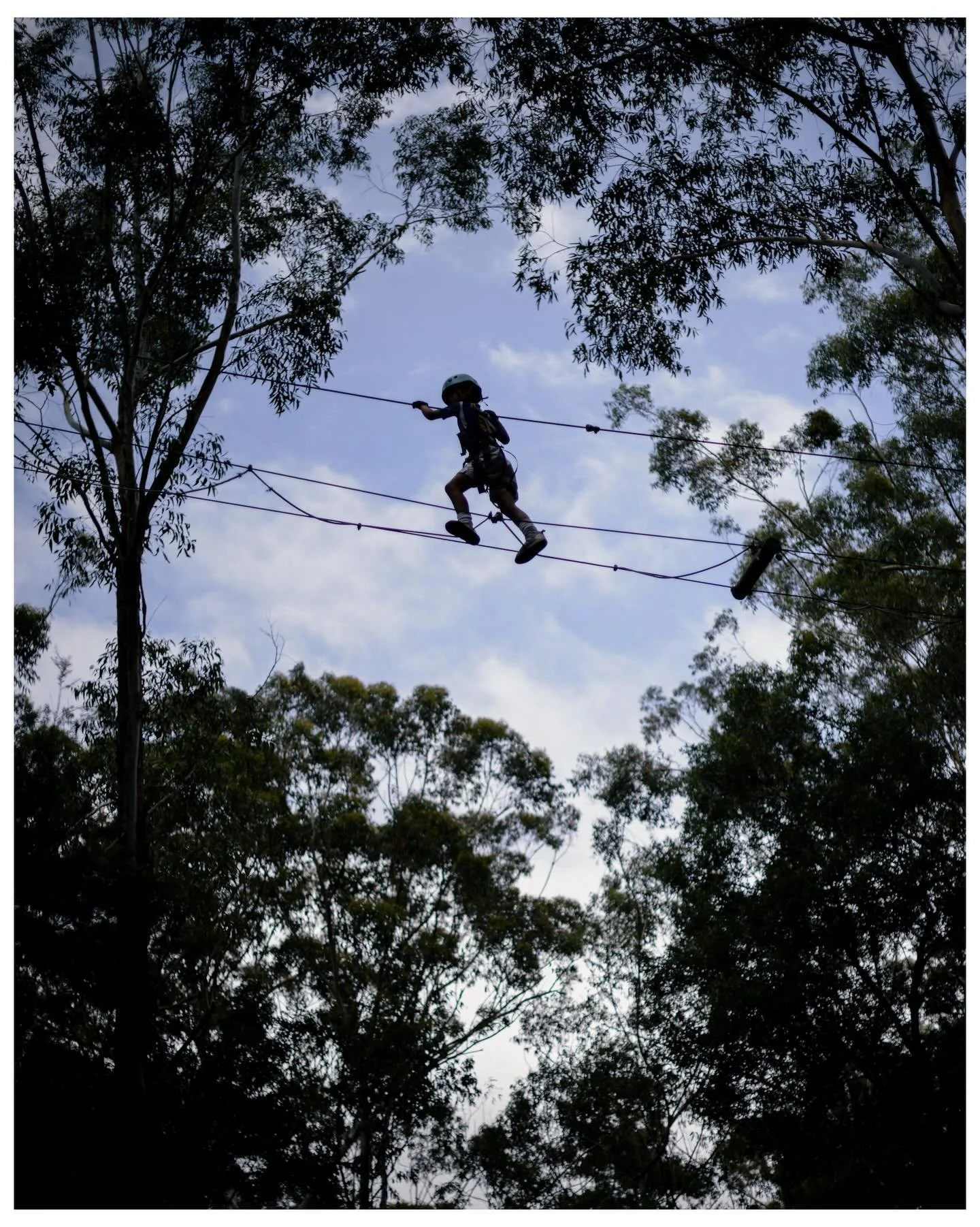 Small steps above the trees, big courage in the sky.

#centralcoast 
#kid 
#treetopadventure 
#treetops