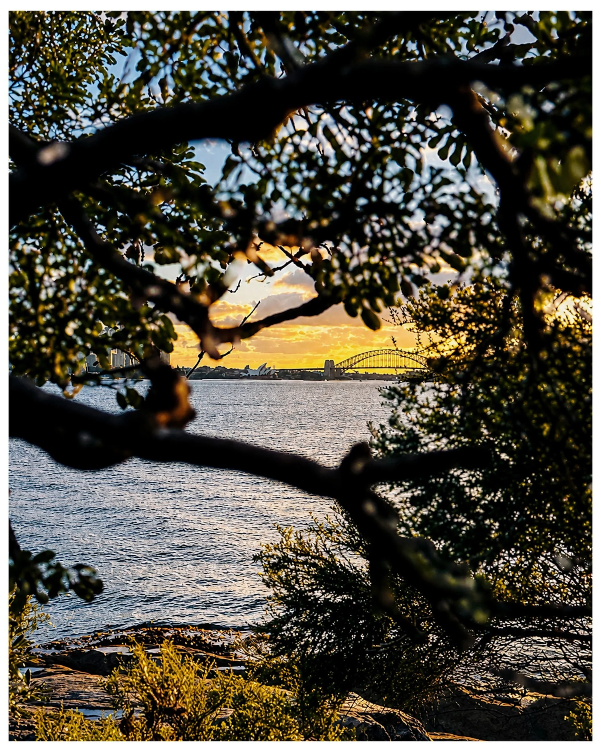 Hidden in plain sight.

#Sydney #SydneyPhotography #UrbanLandscape #NikonPhotography #vaucluse
