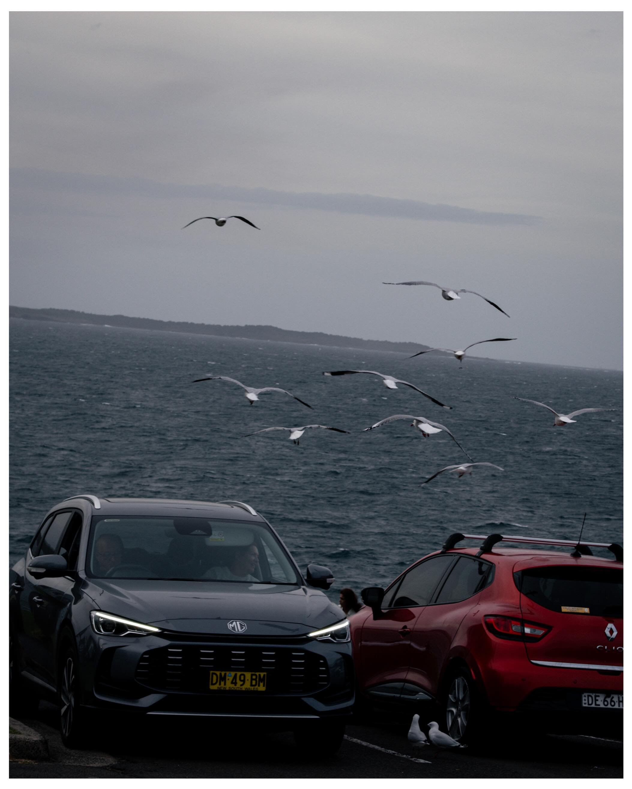 Between headlights and sea wind.
Quiet roads. Grey skies. Still moving.

#StreetPhotography #MoodyGrams #SydneyMoments #NikonD800 #kiama