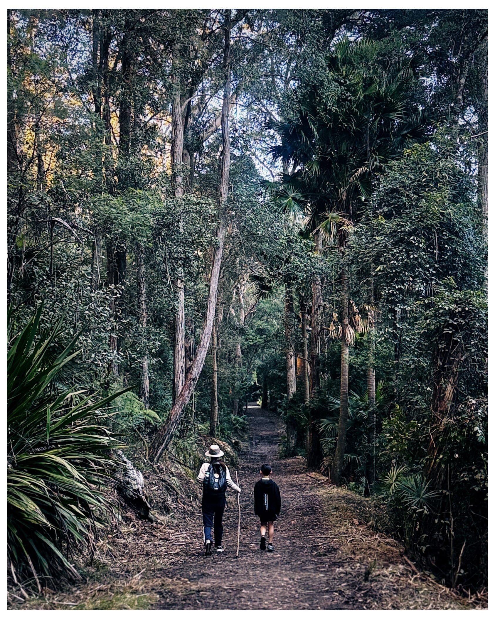 Sometimes the quietest places leave the loudest memories.

#NaturePhotography
#ForestWalk
#VisualStorytelling
#MoodyFrames
#sydney