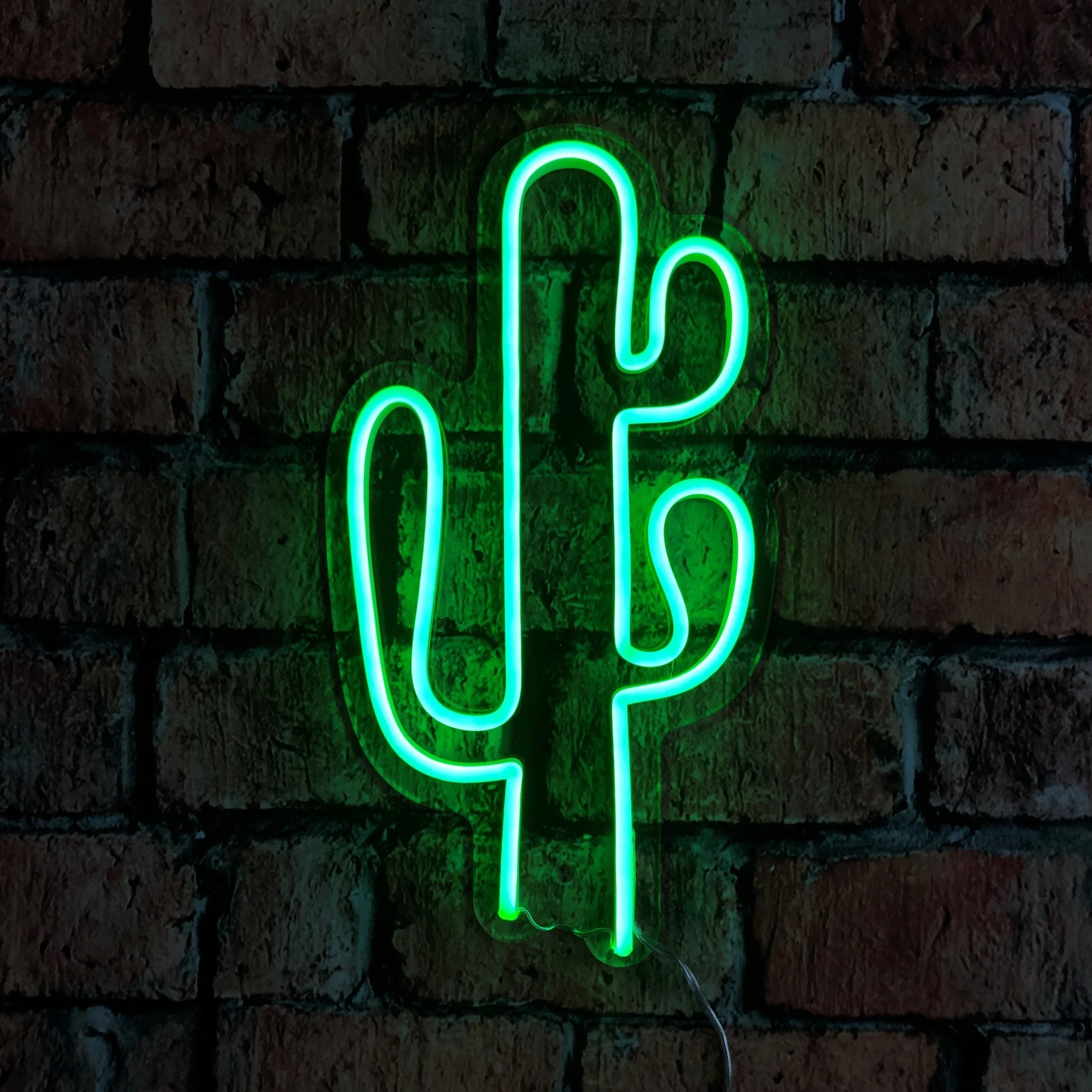Neon Signs — Store 2 — Vital Signs Southland Ltd