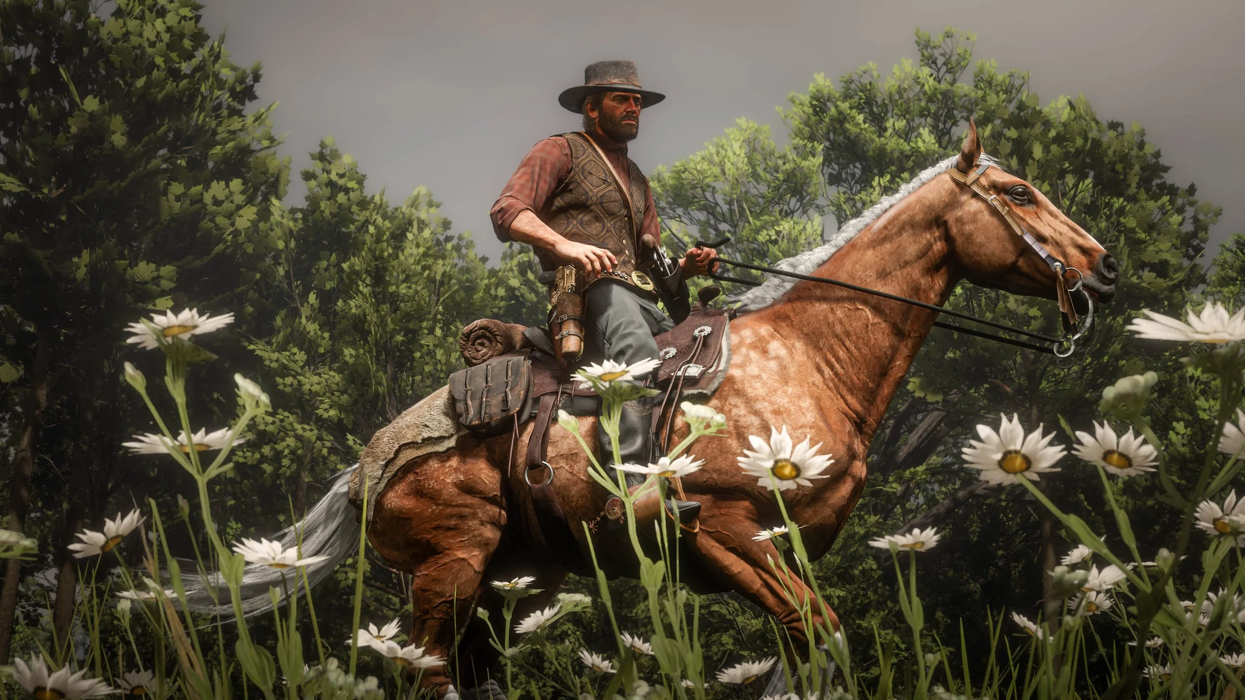 Red Dead Redemption 2 Screenshot 2025.06.24 - 15.44.08.17.jpg