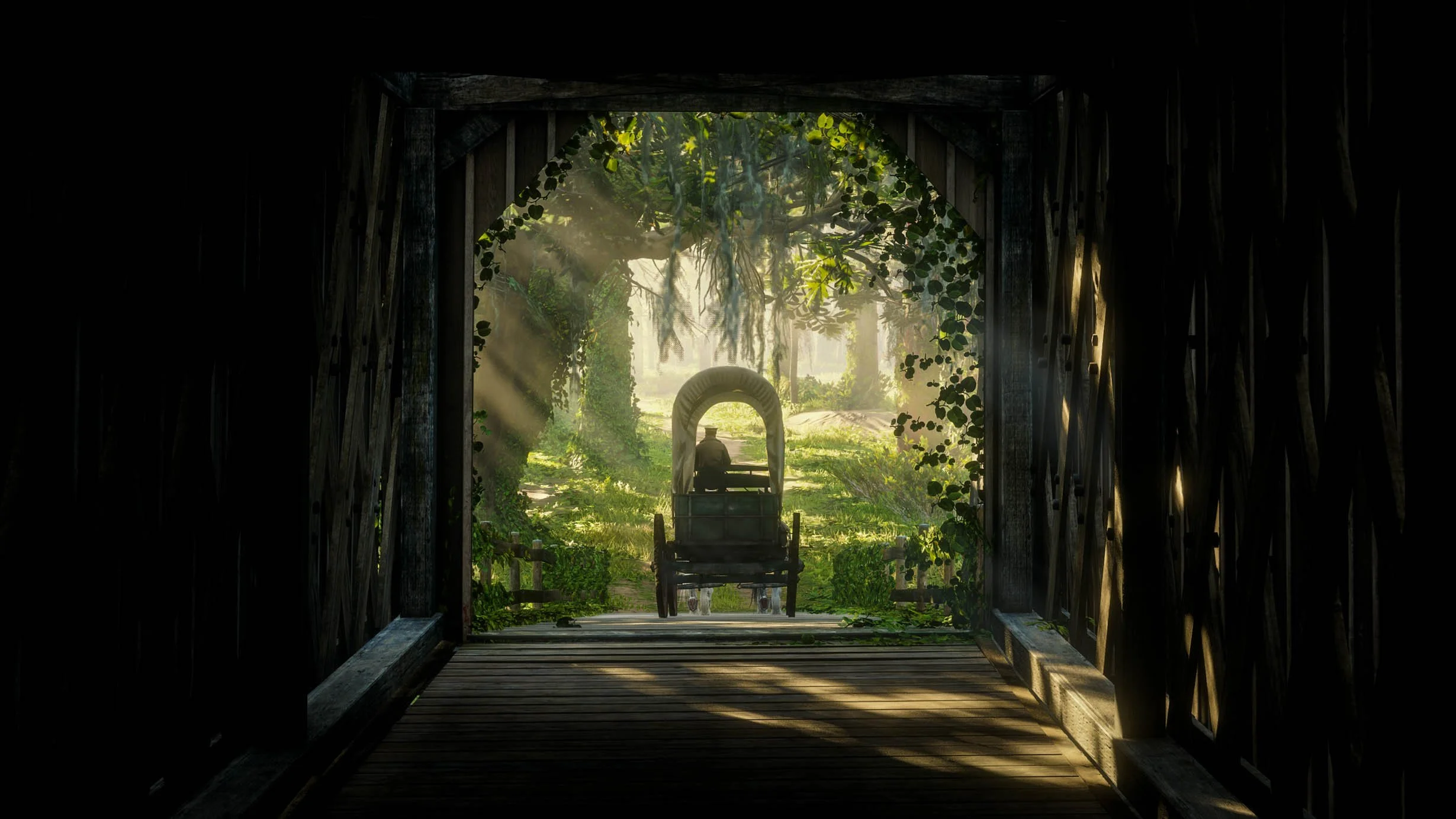 Red Dead Redemption 2 Screenshot 2025.07.14 - 08.53.17.12.jpg