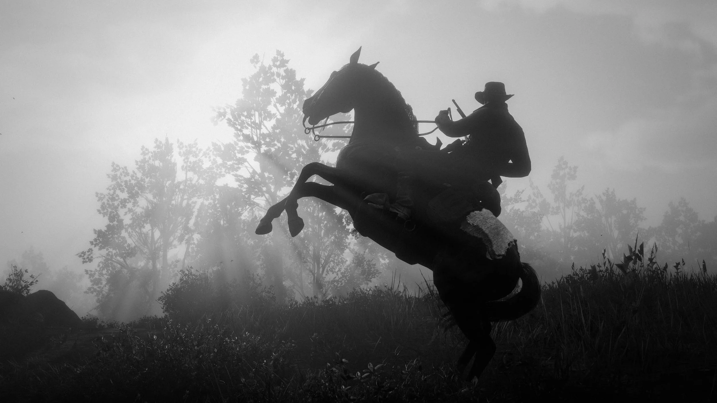 Red Dead Redemption 2 Screenshot 2025.08.15 - 17.24.43.72.jpg