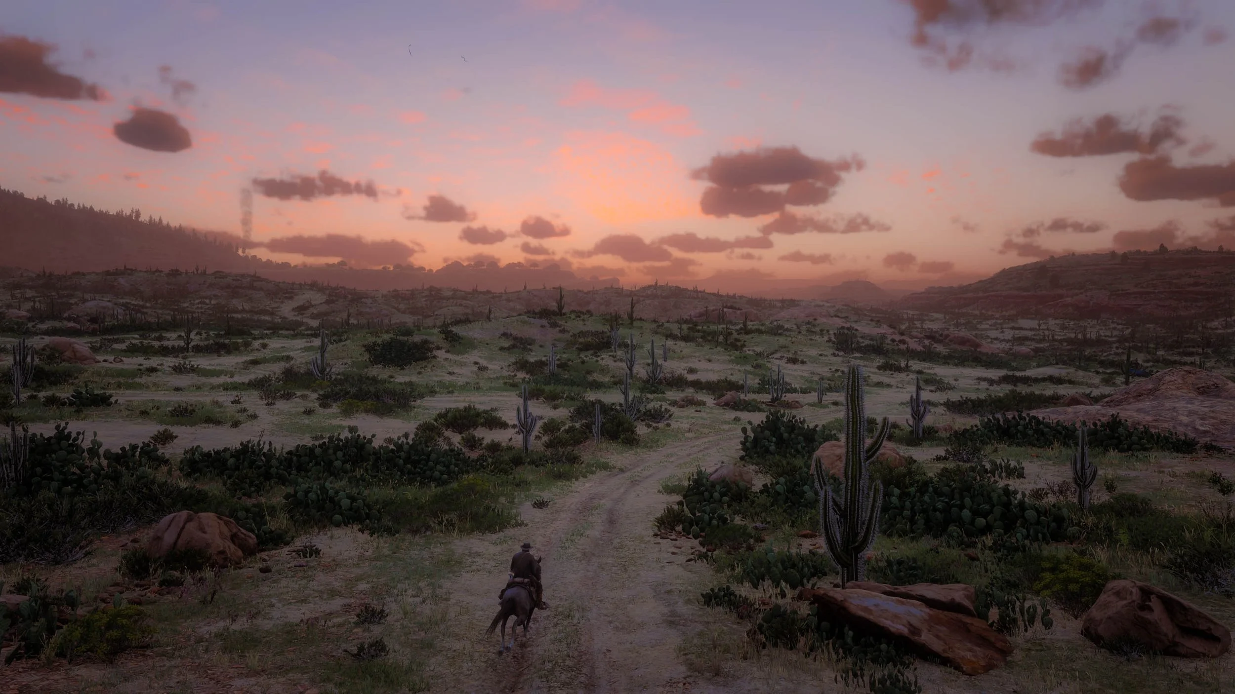 Red Dead Redemption 2 Screenshot 2025.08.20 - 15.42.41.59.jpg