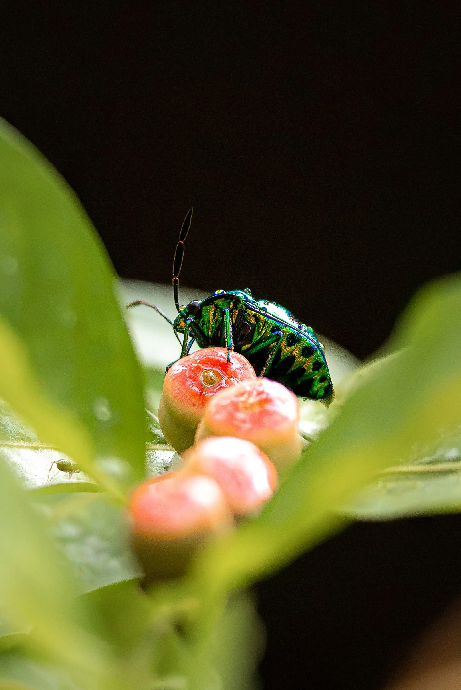 IMG_5690-Edit copy.jpg