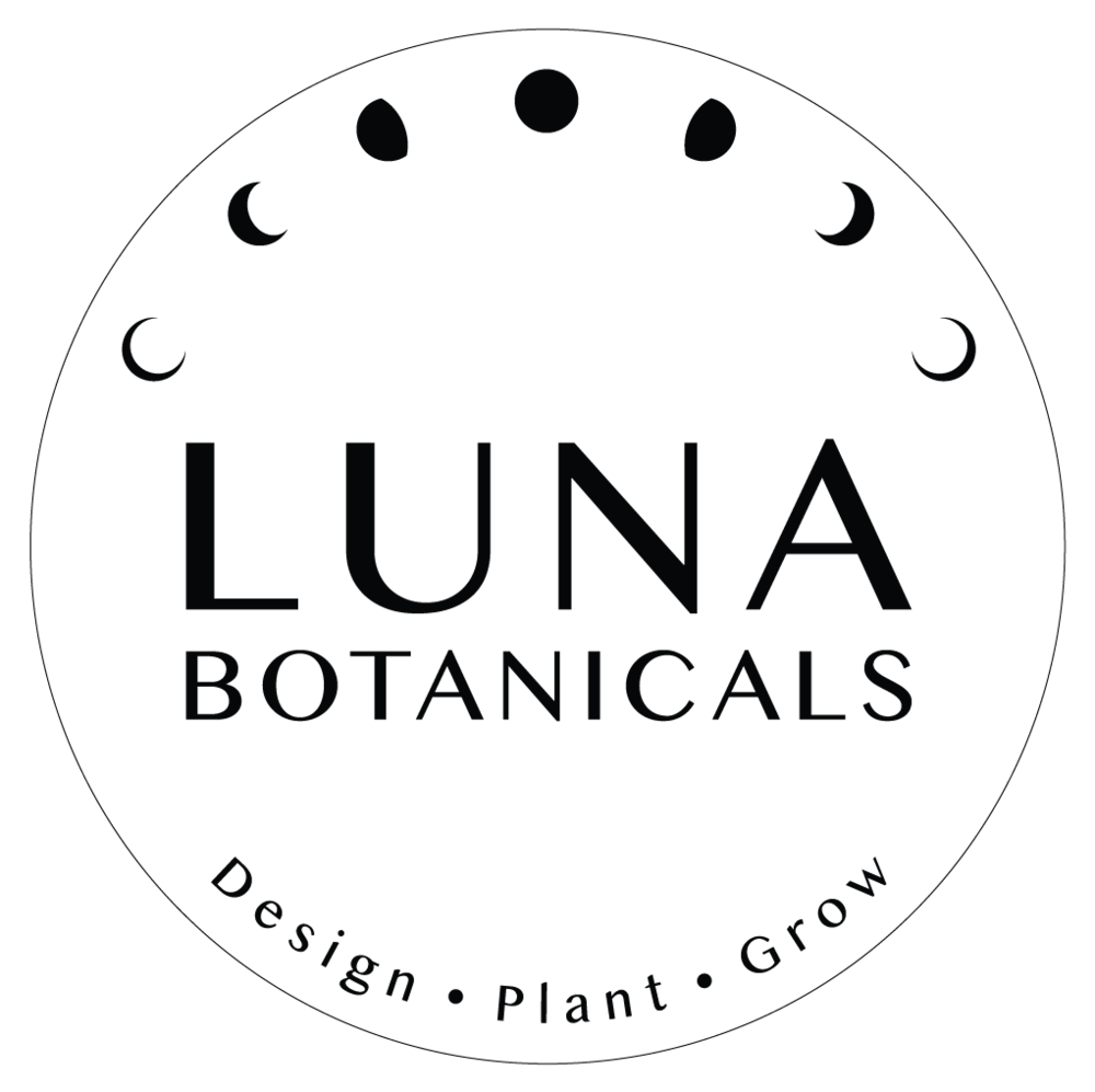 Ferns — Luna Botanicals