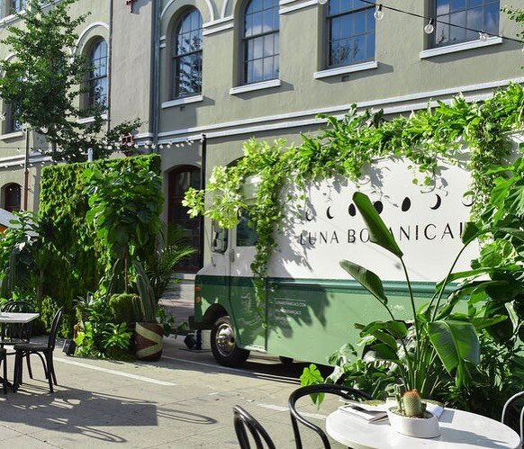 🌙 🌱We bring the green 🌿🍃 #lunabotanicals #neworleans #rental #popup #eventstyling