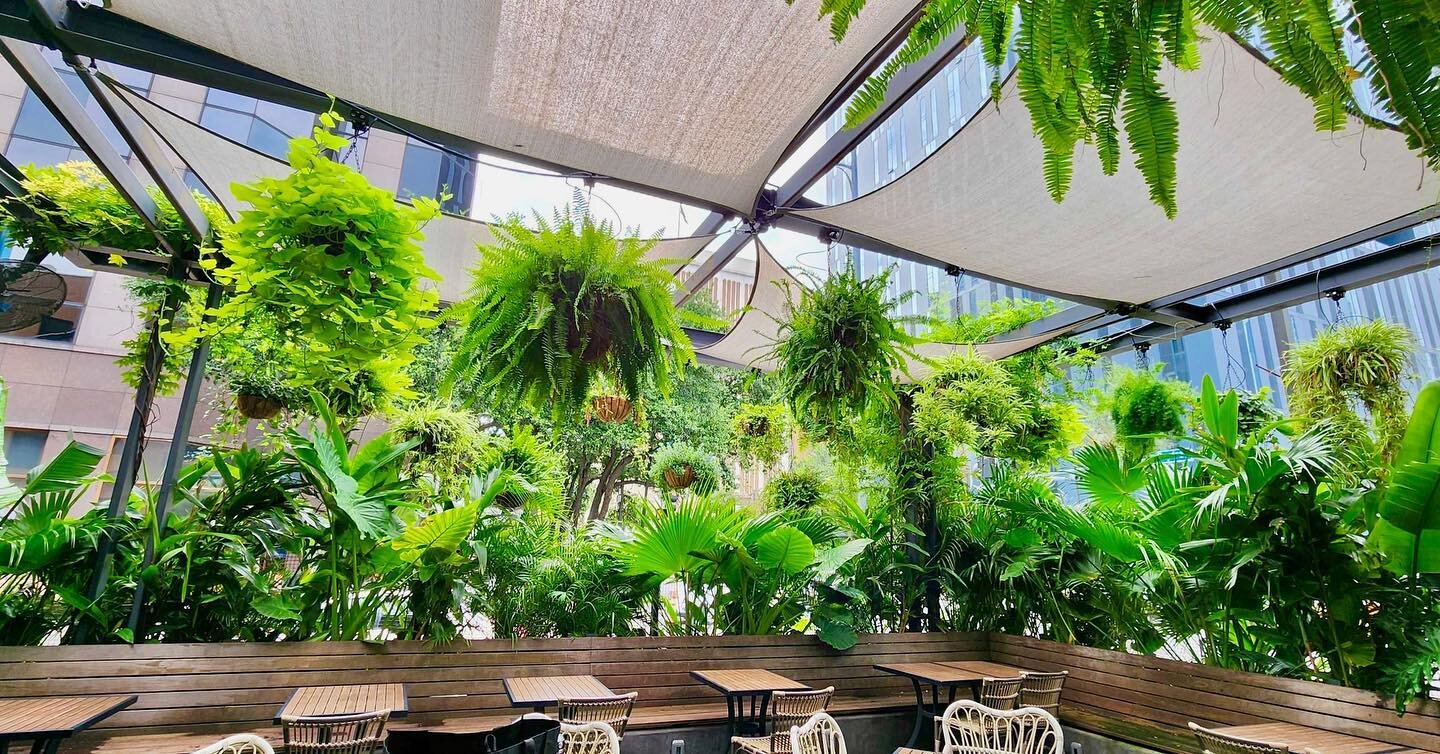 🌱🍃Green, lush, beautiful @coppervinewinepub 
.
.
We absolutely love growing this oasis in the city 🌿