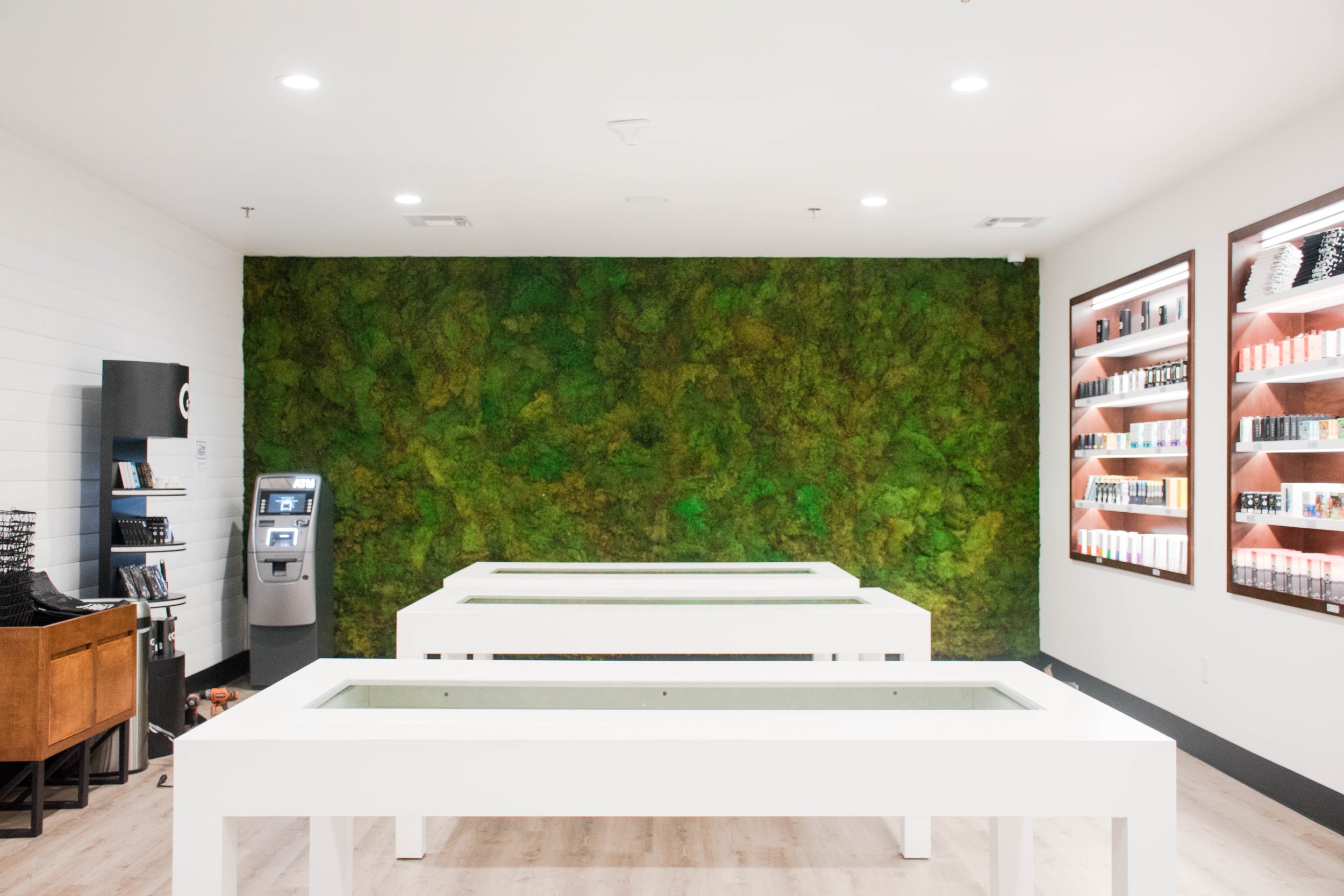 OnePlant.MossWall-3.jpeg