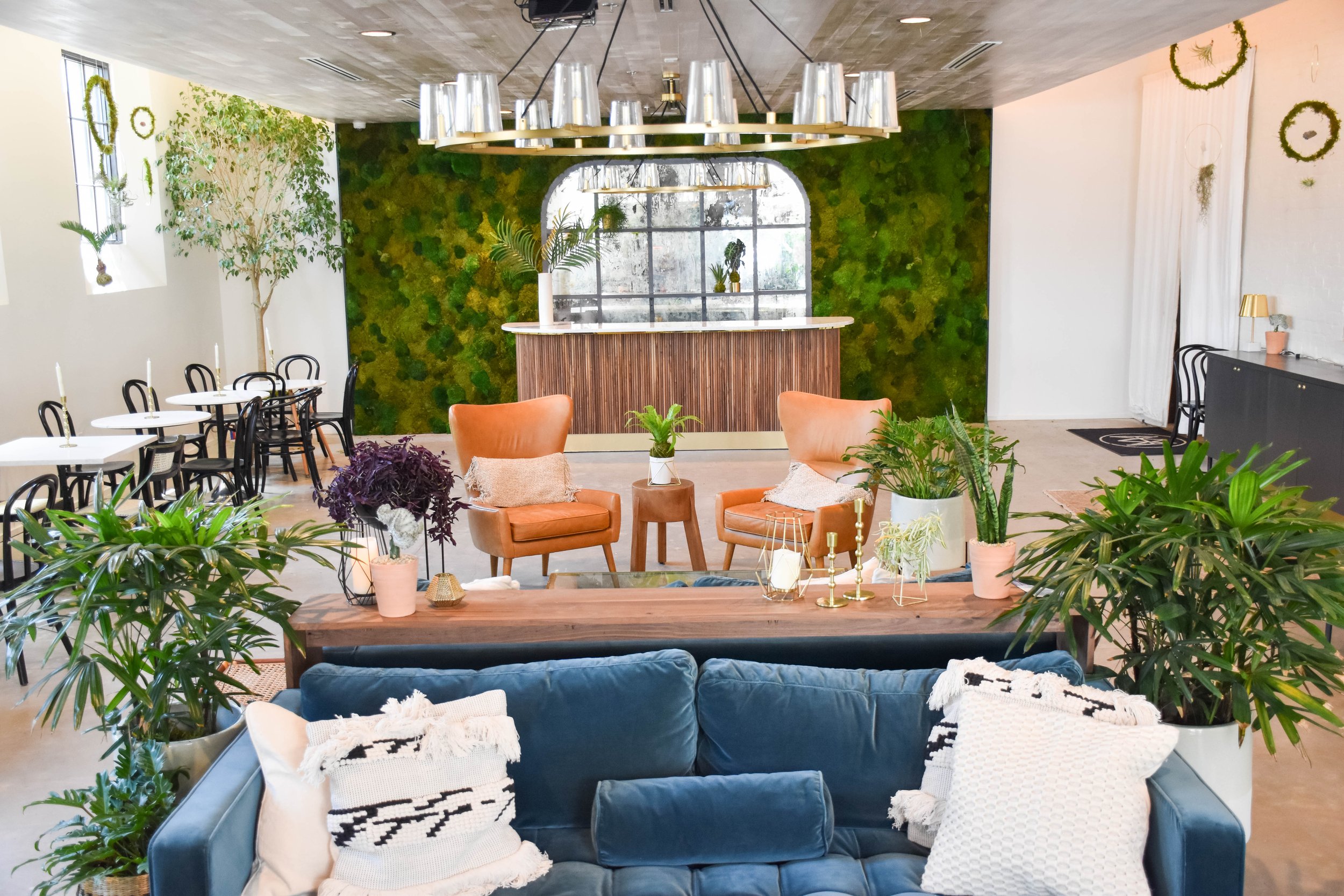 AHM Moss Wall Room.jpeg