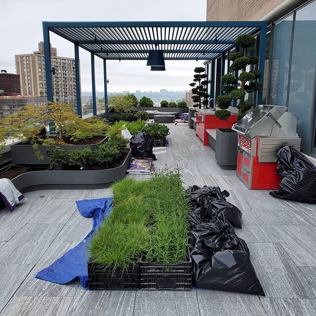 finally planting..... #nycrooftopgardens