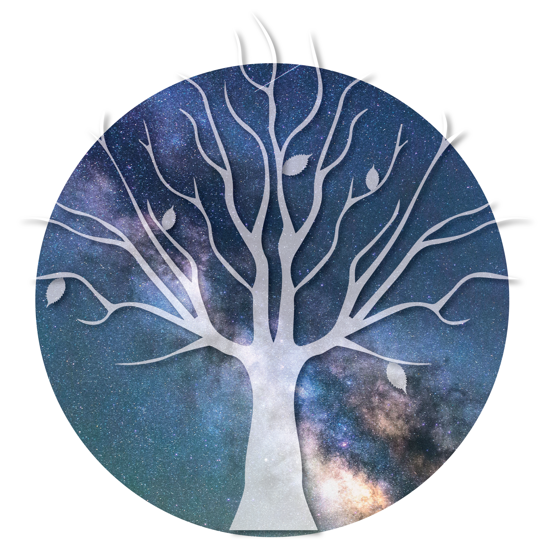Catalyst Energies Logo_plain-01.png