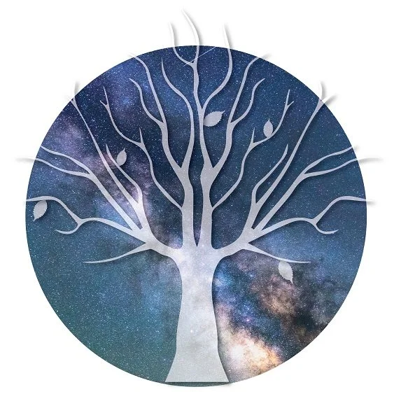 Catalyst Energies Logo_plain-01 REDUCED.jpg