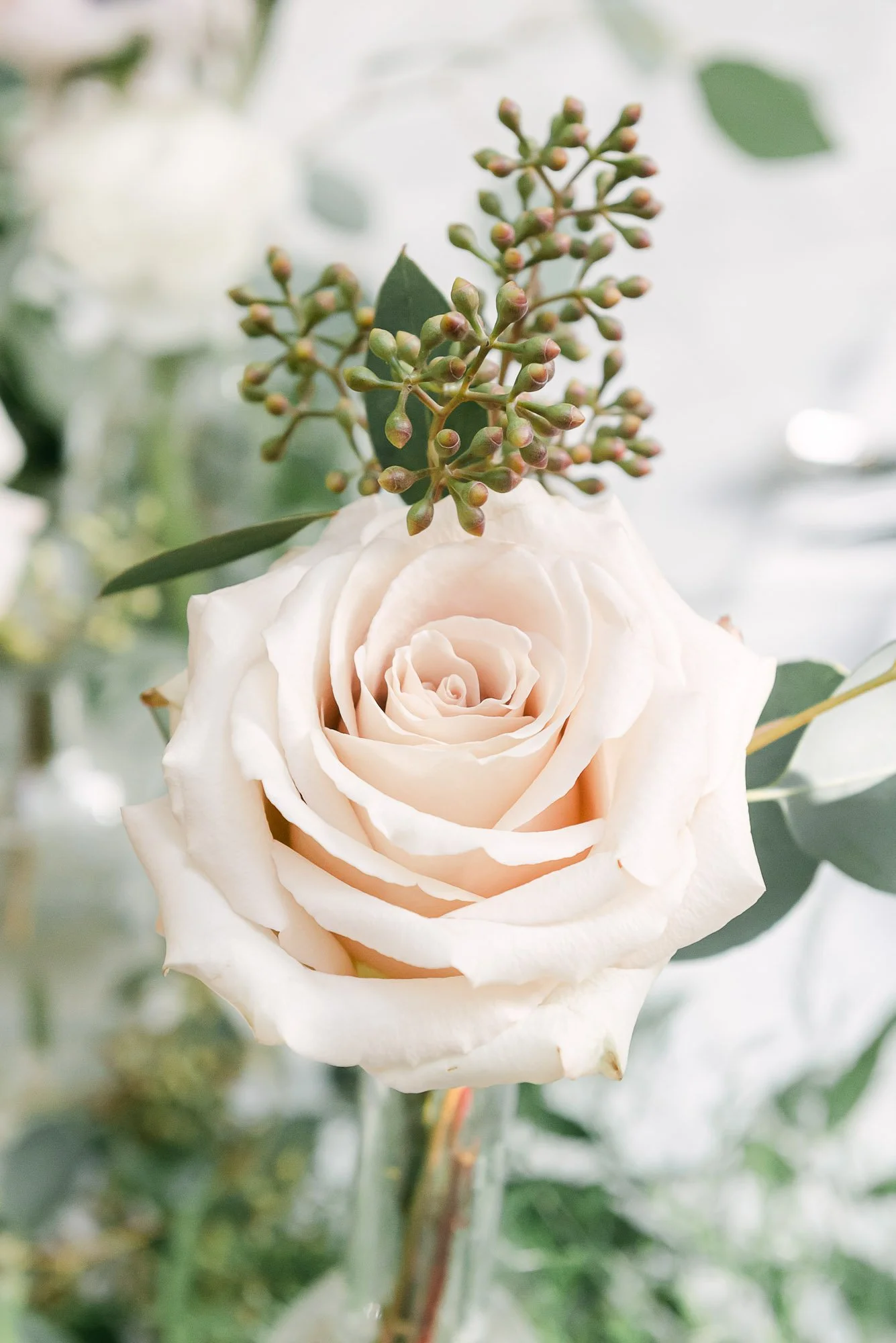 BDP Kynsie & Aj-214.jpg