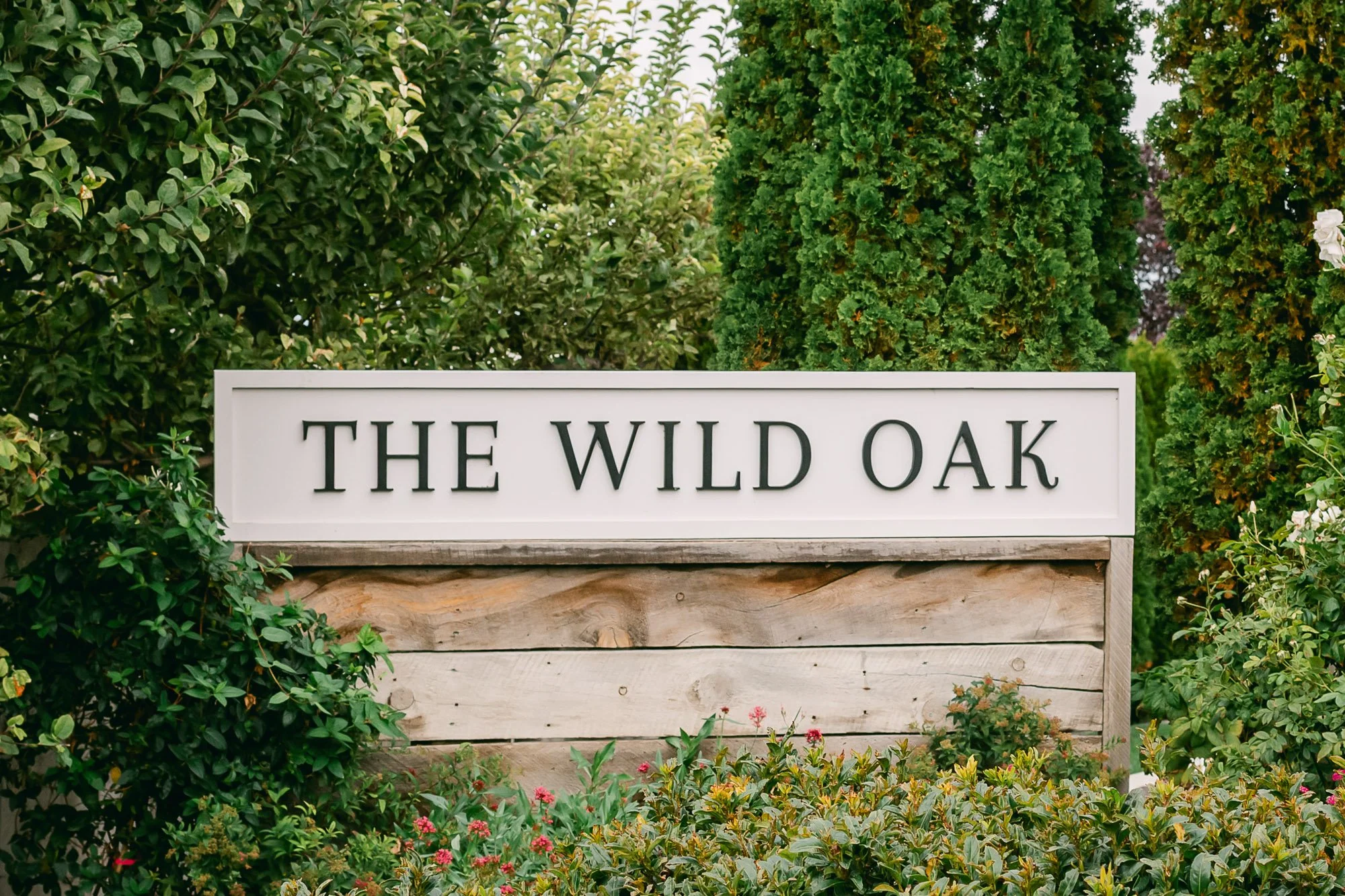 BDP Harry & Tereasa Wed-1.jpg