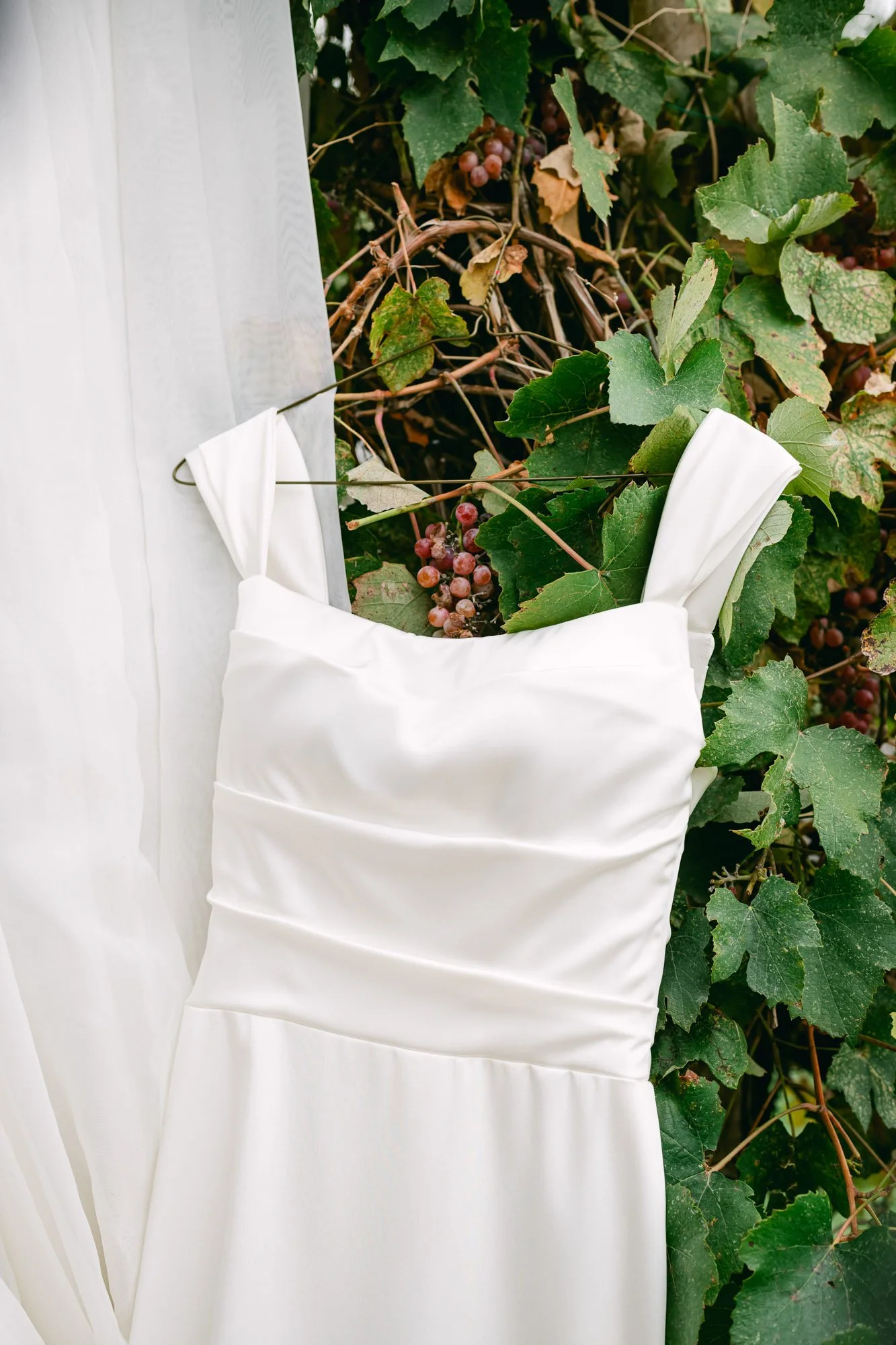 BDP Harry & Tereasa Wed-32.jpg