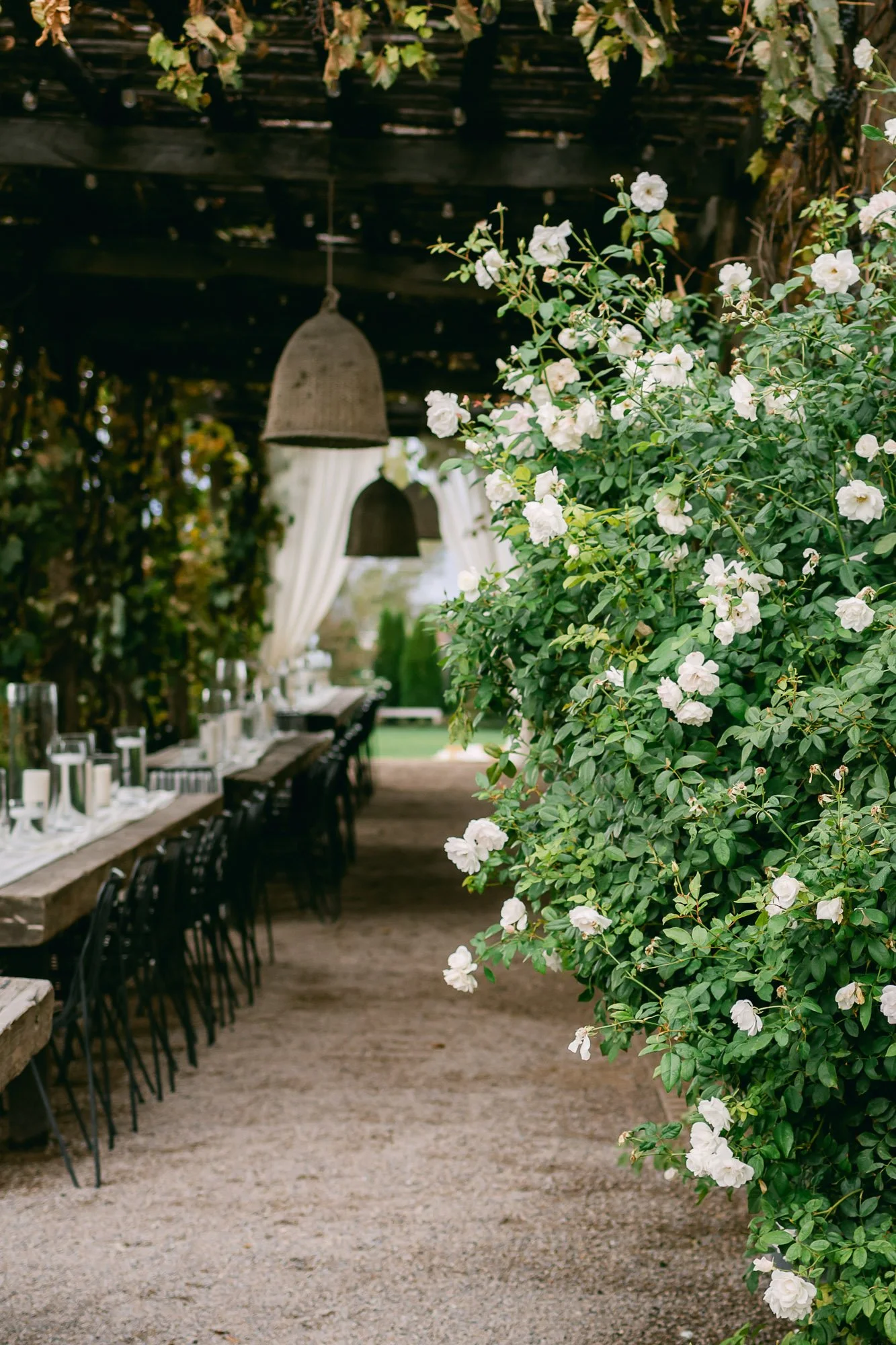 BDP Harry & Tereasa Wed-4.jpg