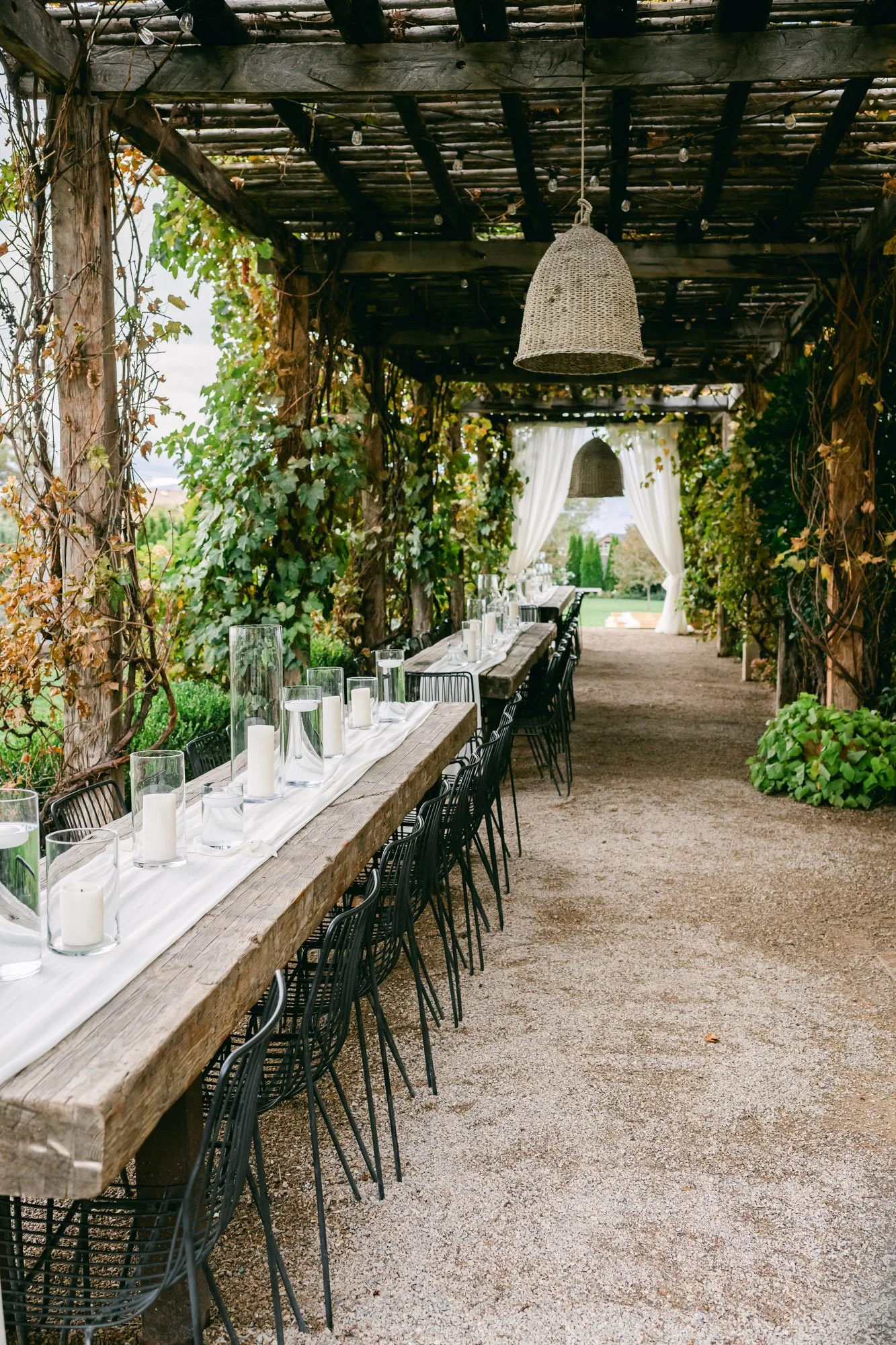 BDP Harry & Tereasa Wed-5.jpg