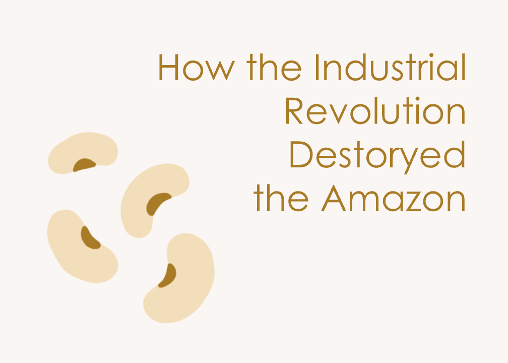  How the Industrial Revolution Destroyed the Amazon