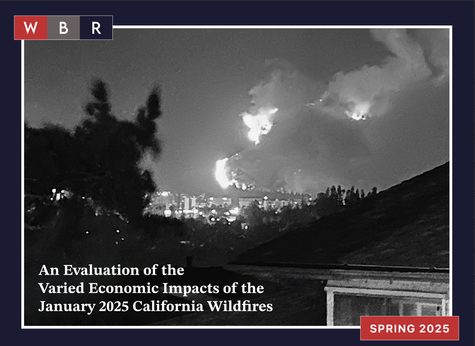 An Evaluation of the Varied Economic Impacts of the January 2025 California Wildfires