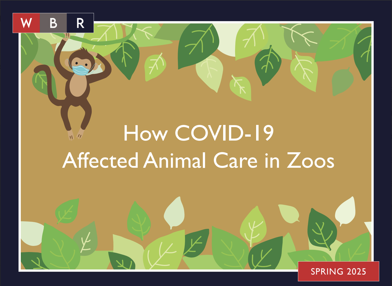 How COVID-19 Affected Animal Care in Zoos