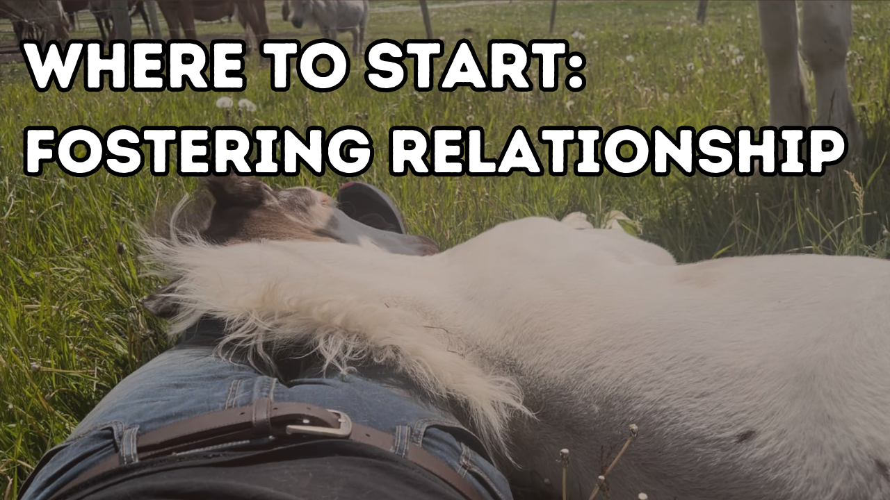 Where to Start: Fostering Relationship