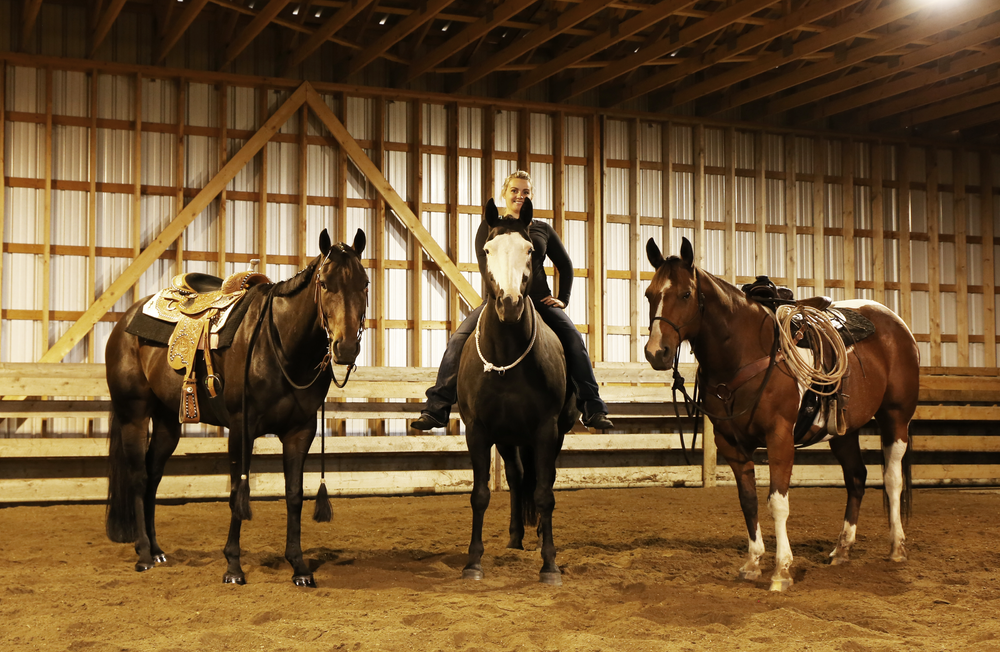 Bold Equine Horse Training, Alberta