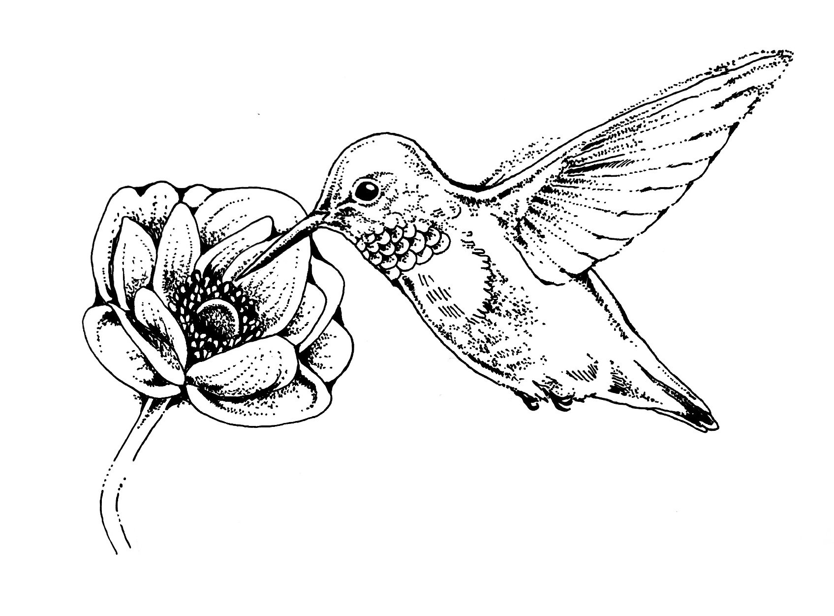 Untitled_Artwork 134.jpg