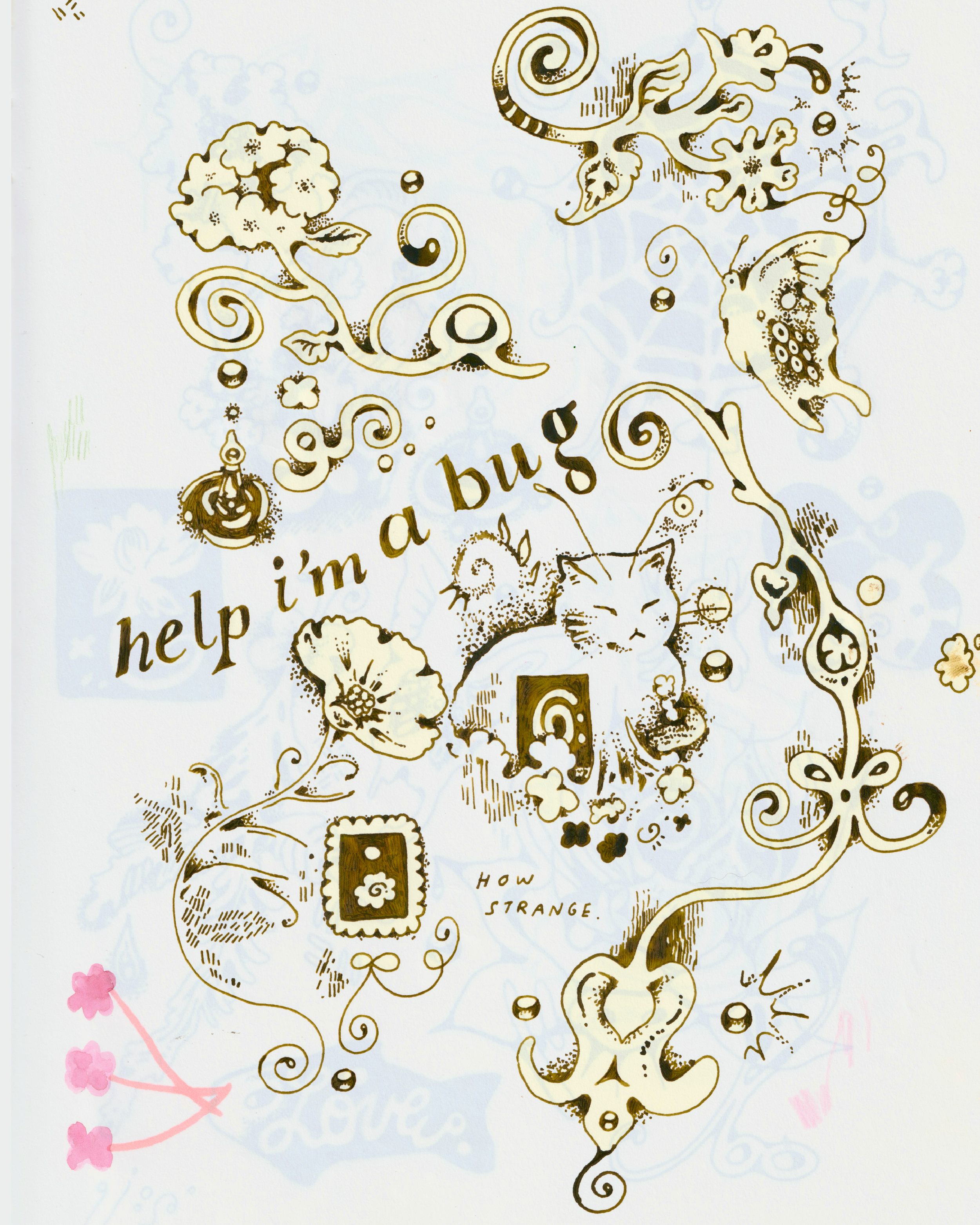 IMG_0711.png