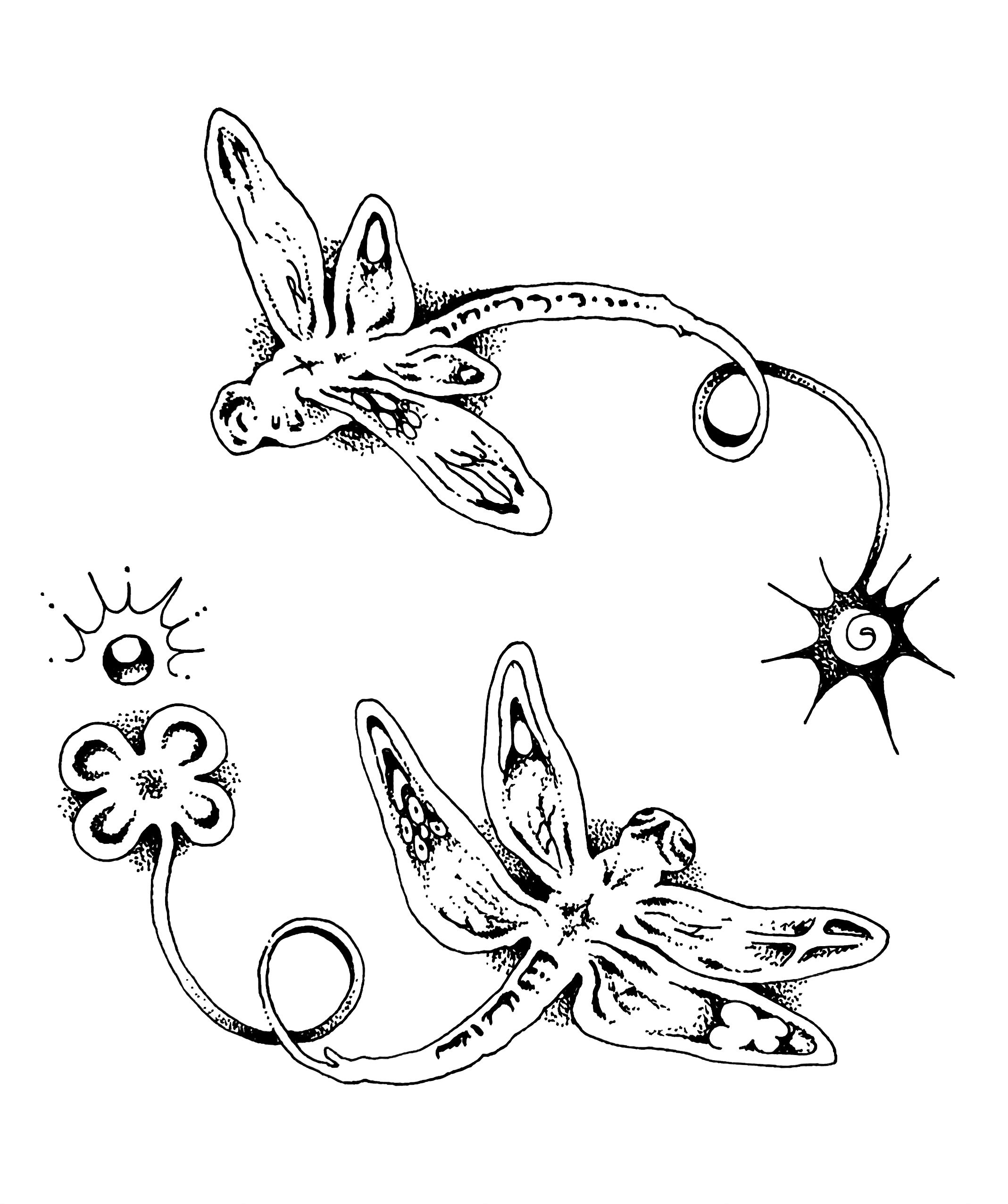 dragonflies custom.jpg
