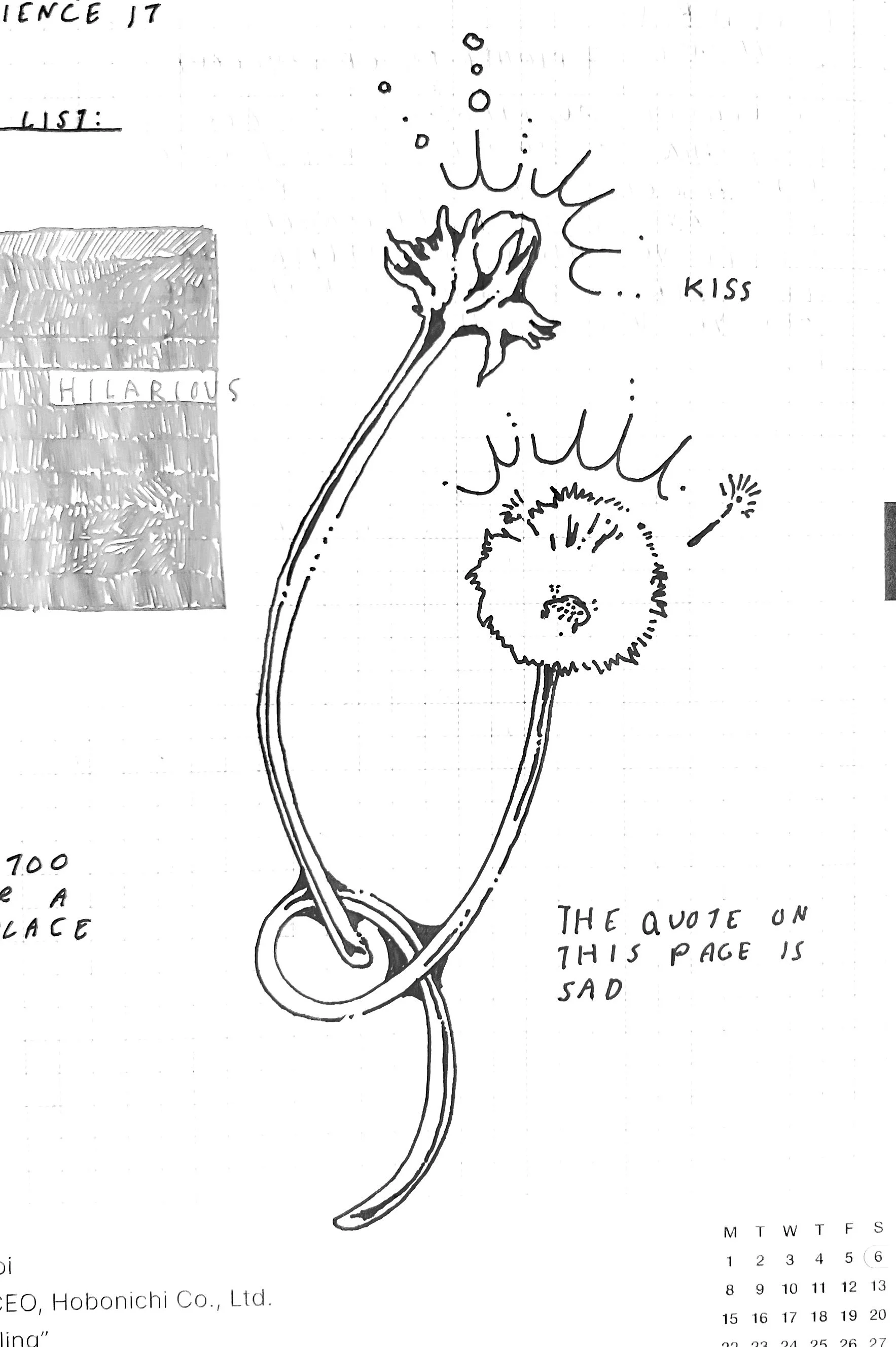 dandelion flash.jpg