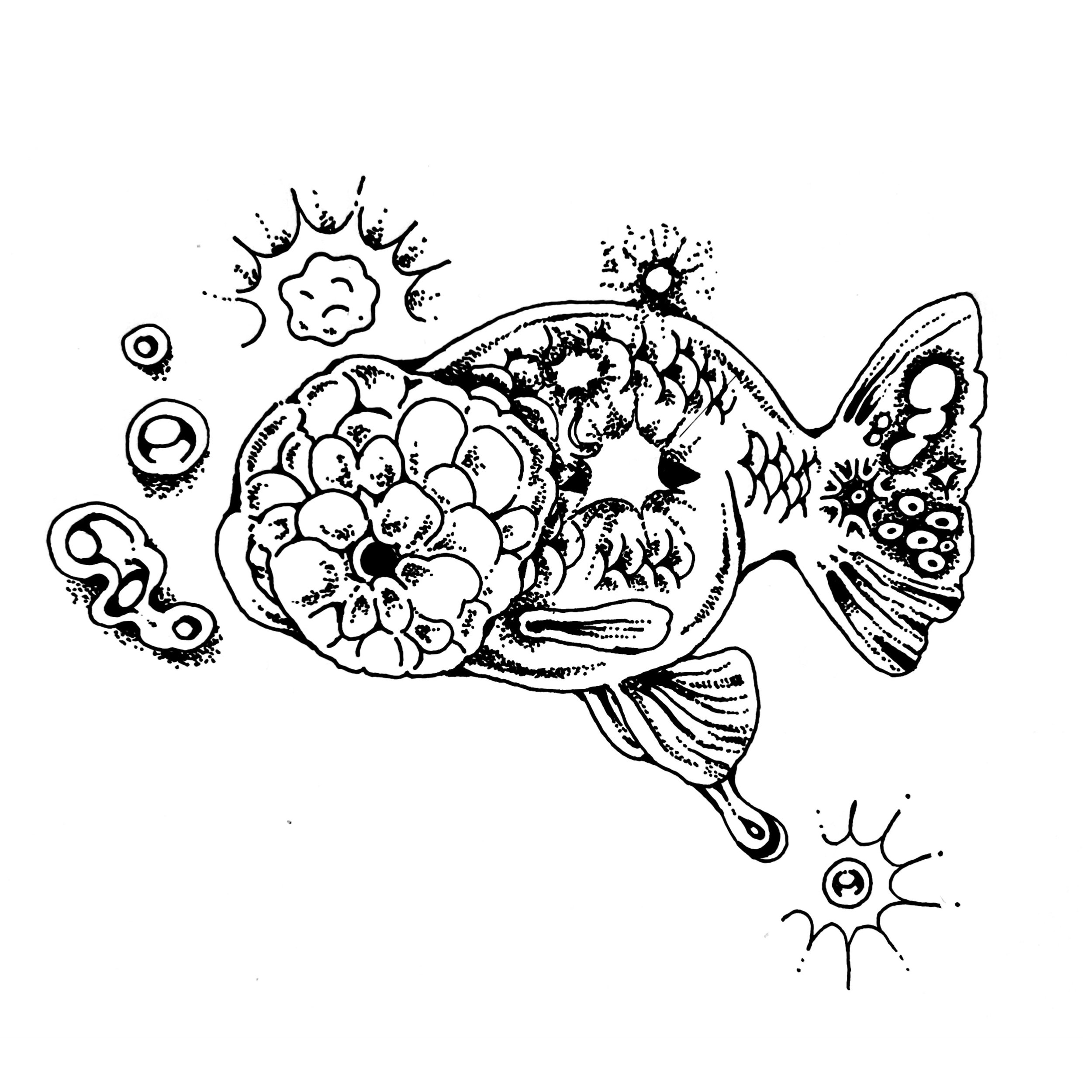 3D44310C-1EC0-4CA2-B81C-F106411BEE58.jpg