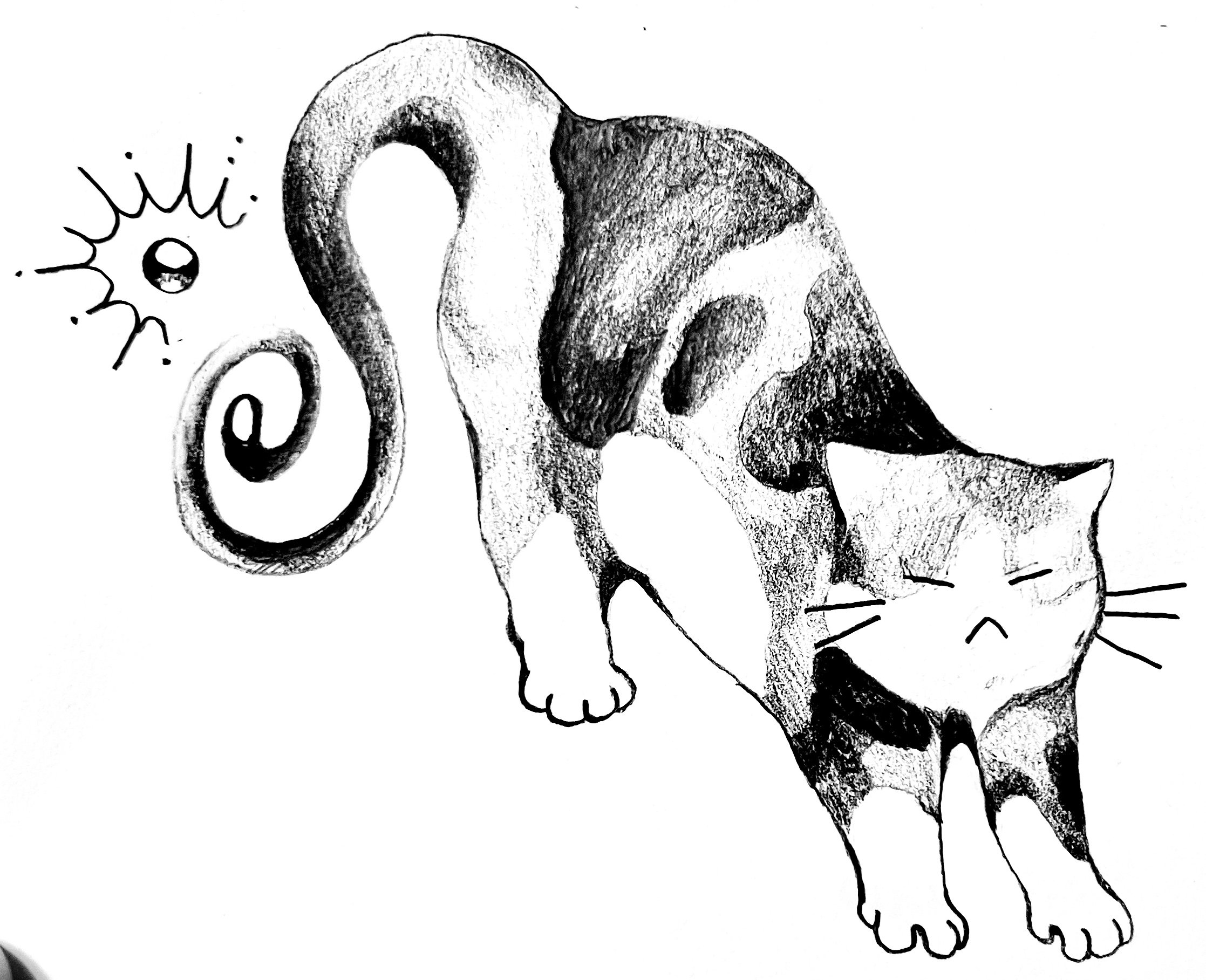 calico cat custom.jpg