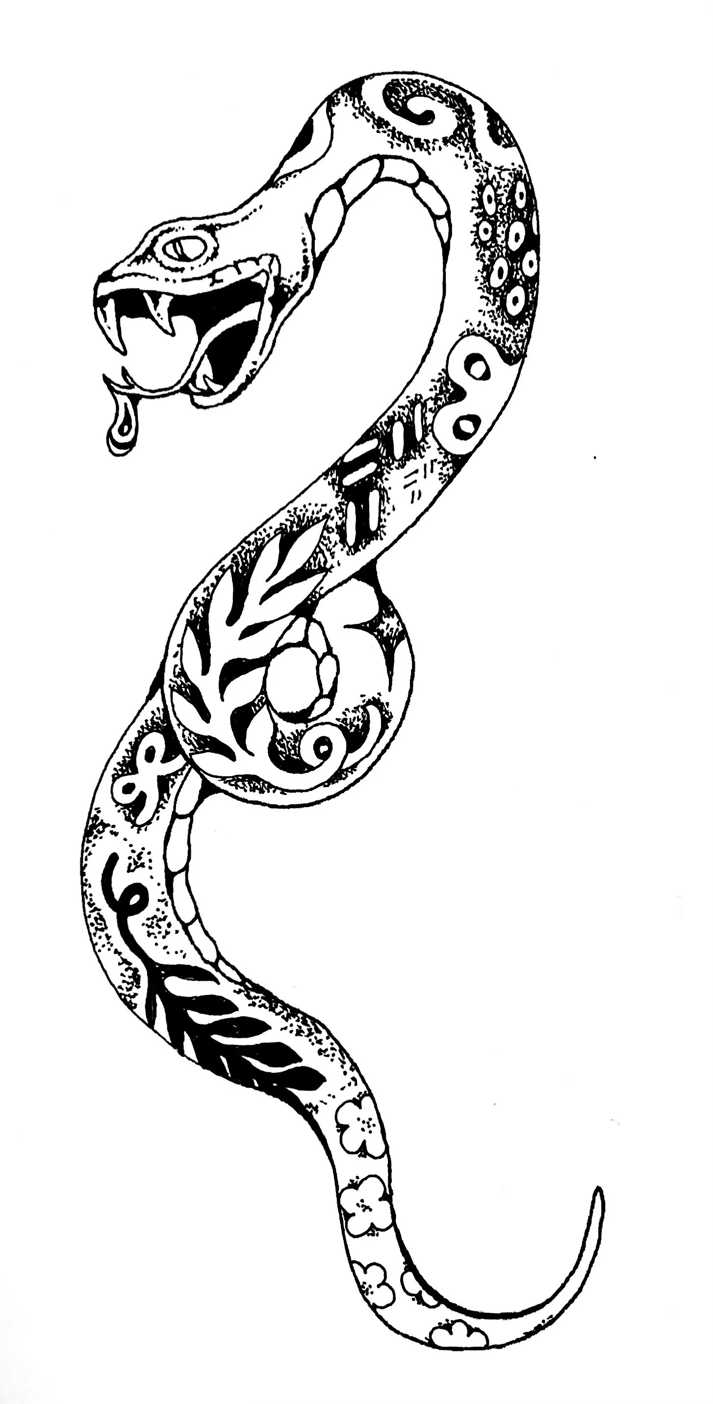 trad snake custom.jpg