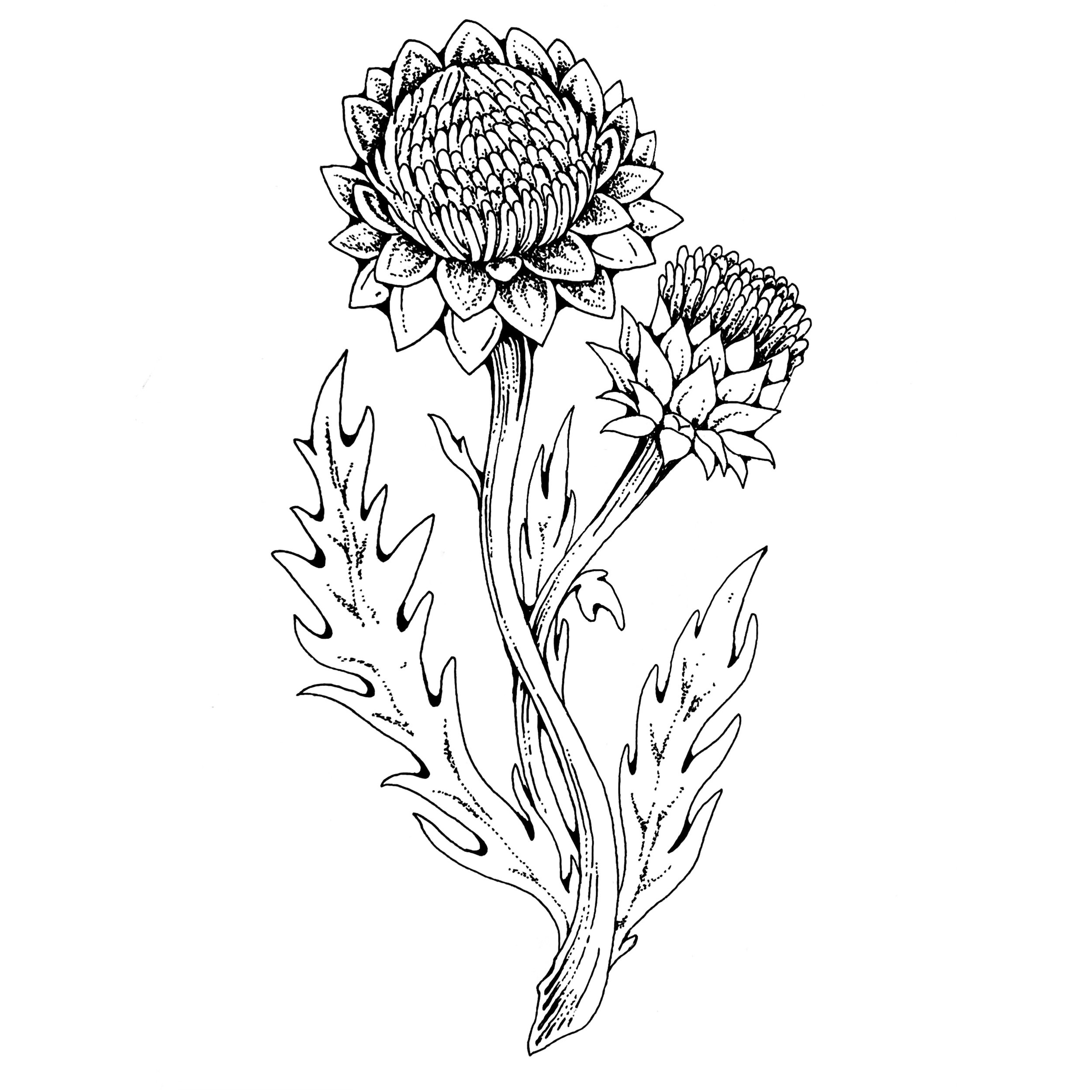 46EB8EB8-5A02-4703-A38F-8563EB34F651.jpg