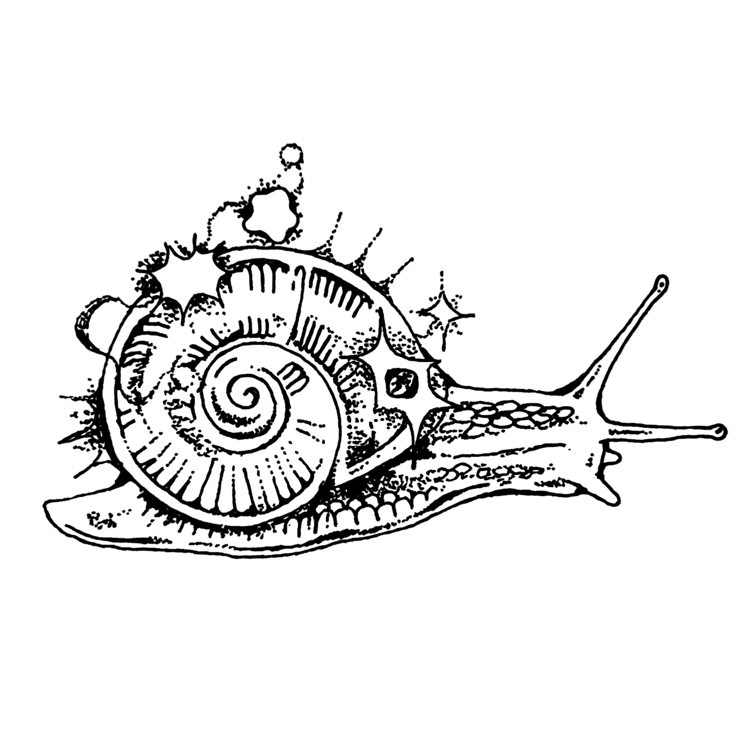 BFA330B3-A971-44FB-BB7E-EFC624D42FDF.jpg
