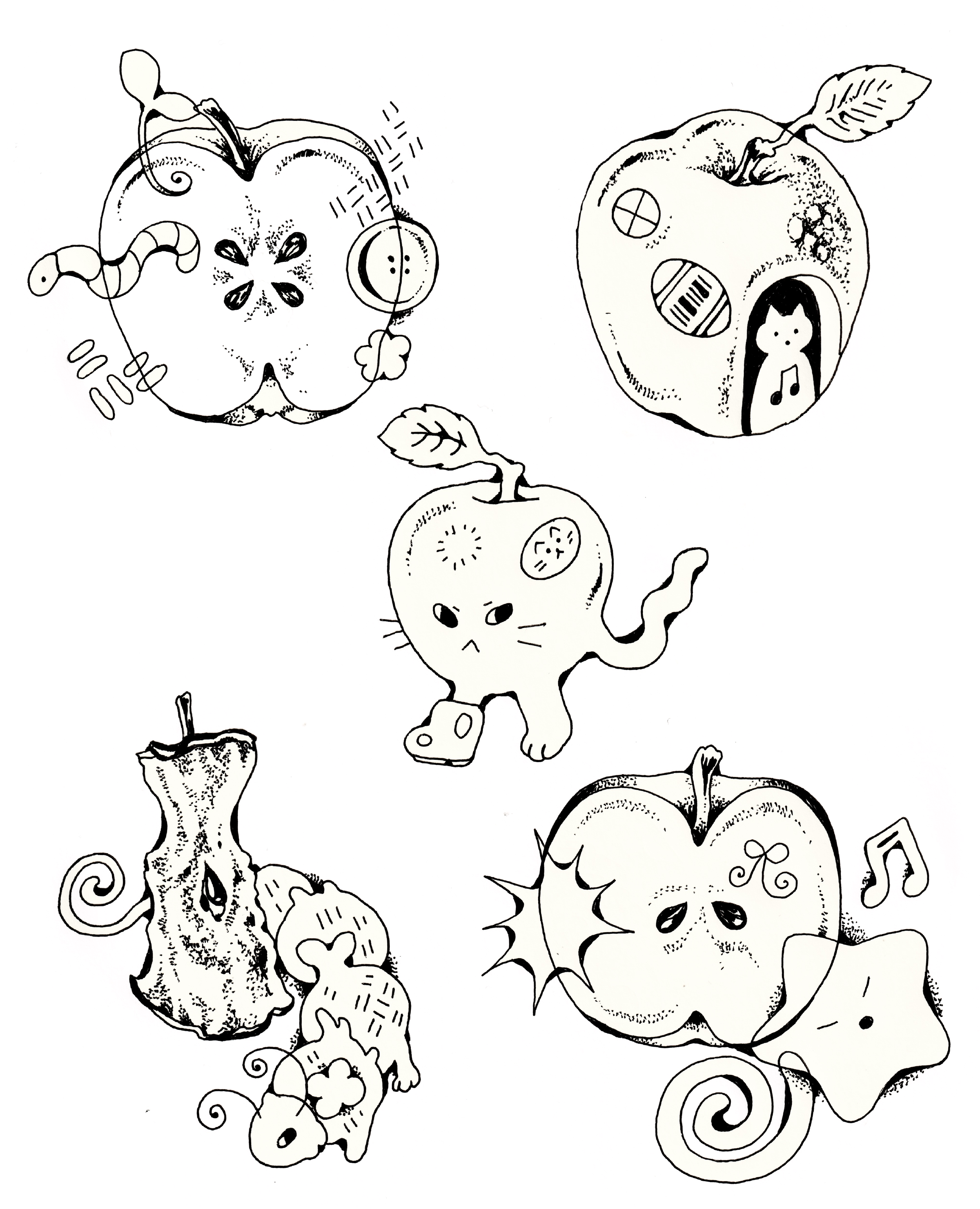 IMG_1266.PNG