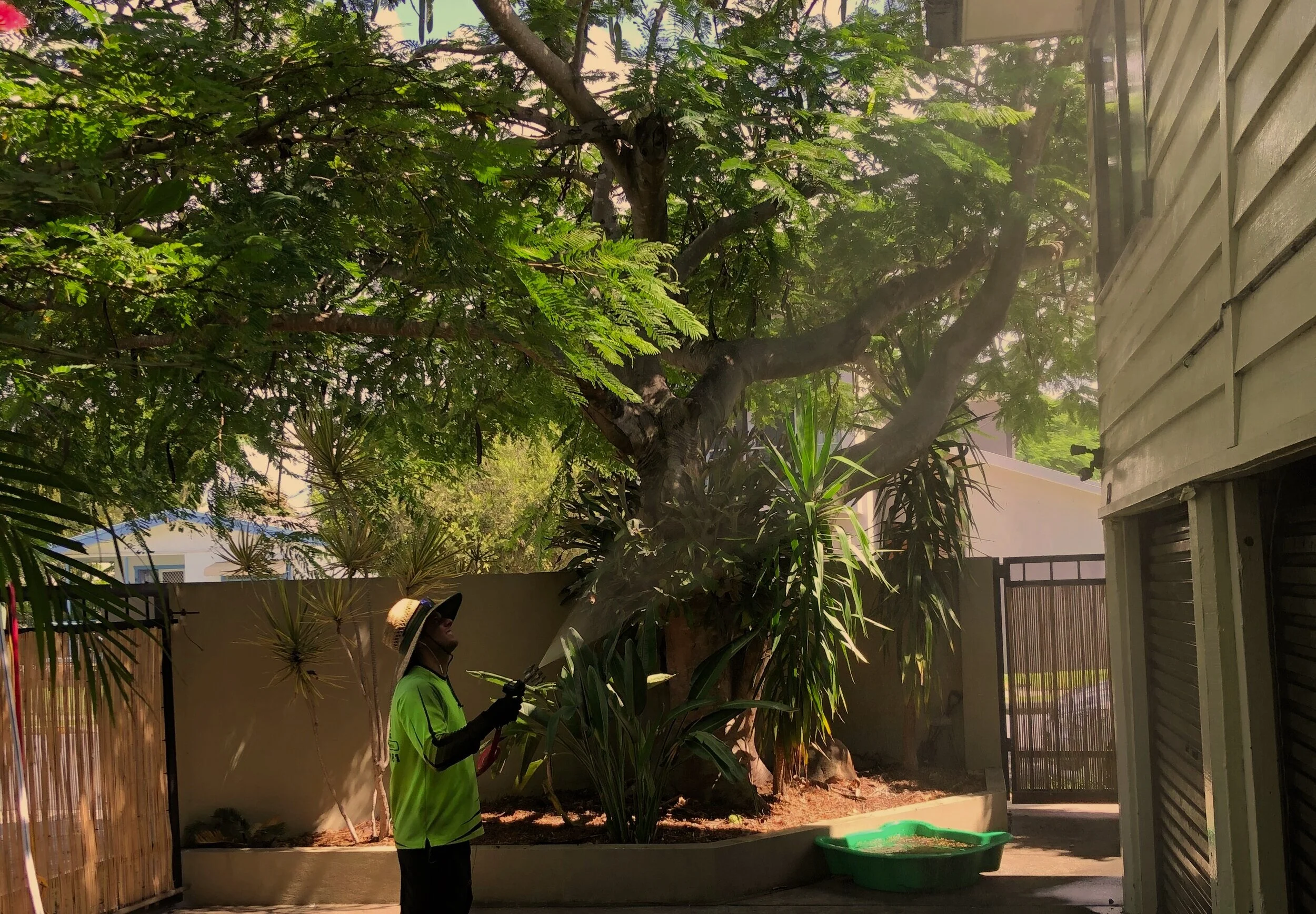 Ben's Gutter Cleaning We Clean Out Gutters. Not Wallets.