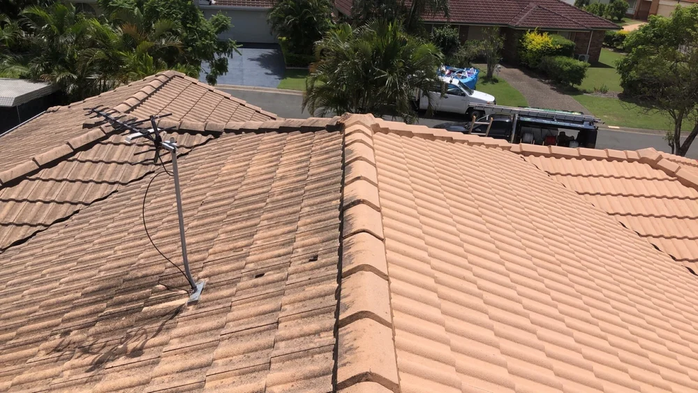 Ben's Gutter Cleaning We Clean Out Gutters. Not Wallets.