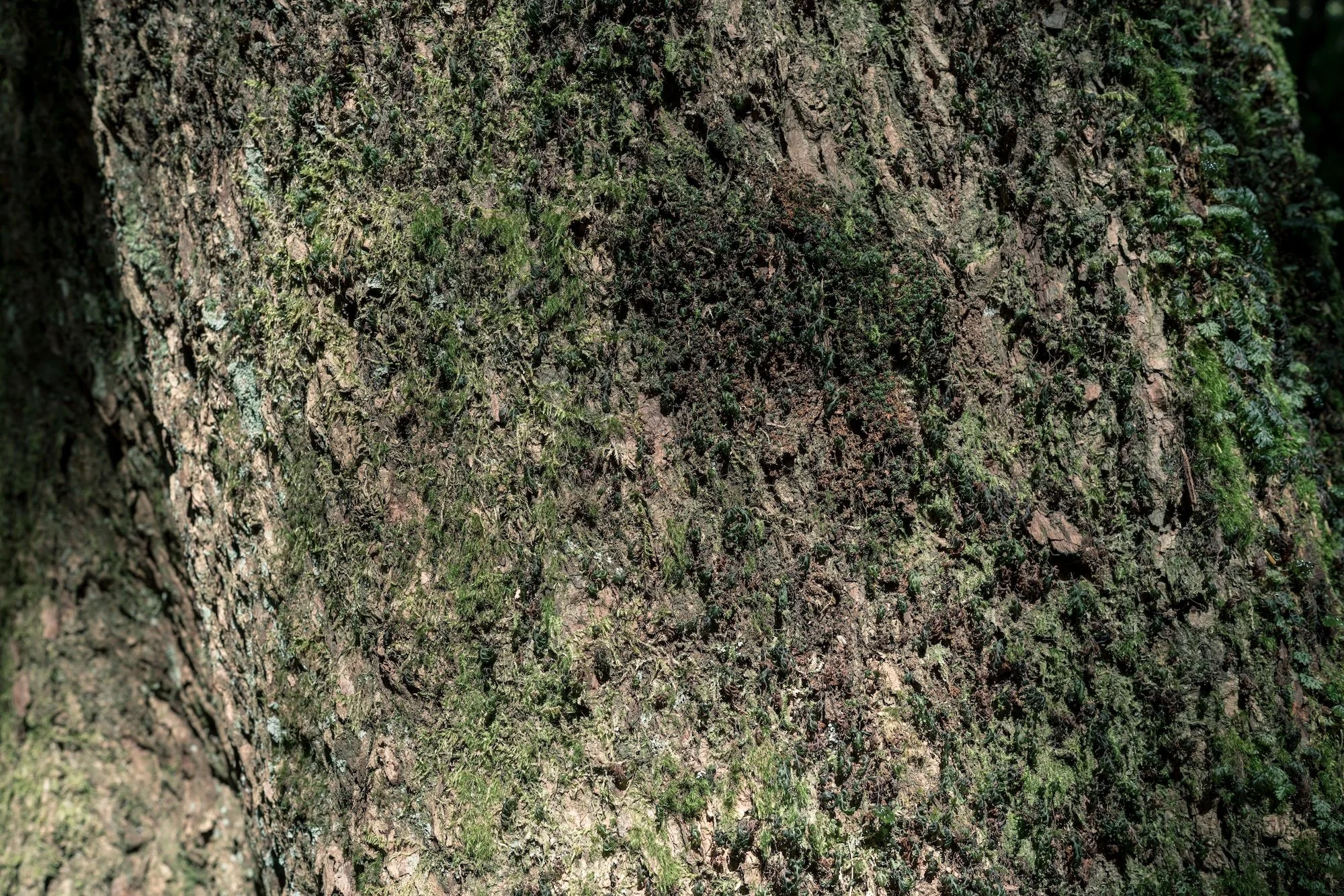 M-05800.jpg
