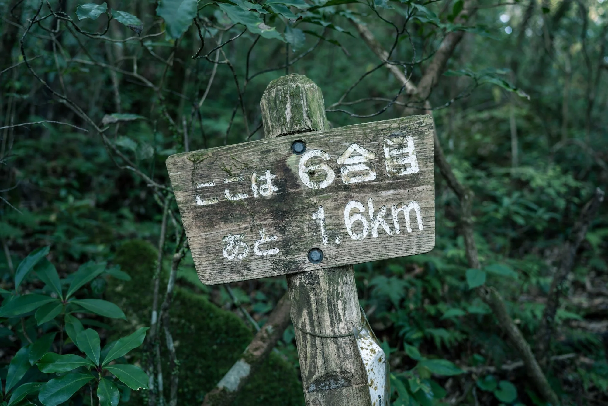 M-06909.jpg
