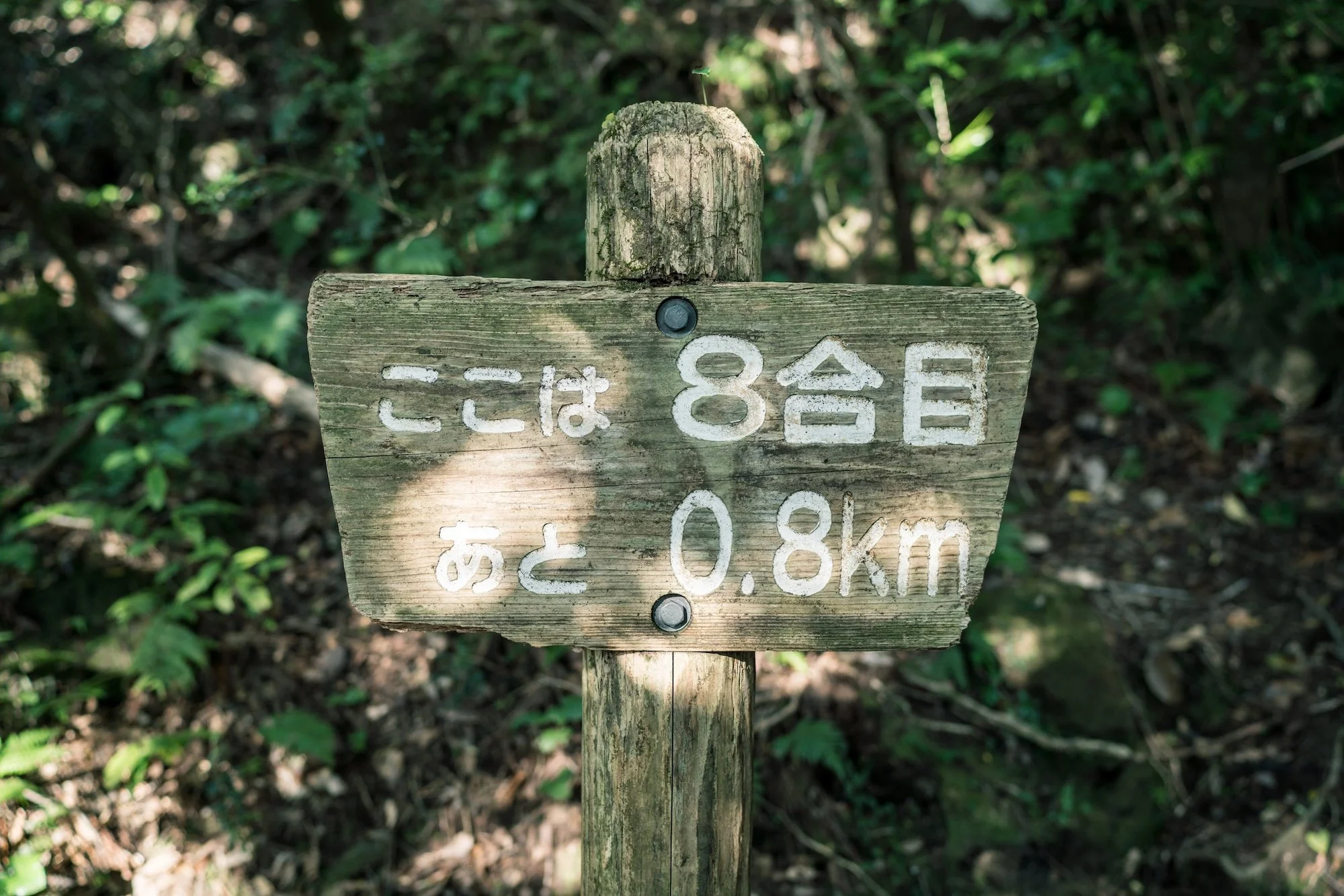 M-06920.jpg