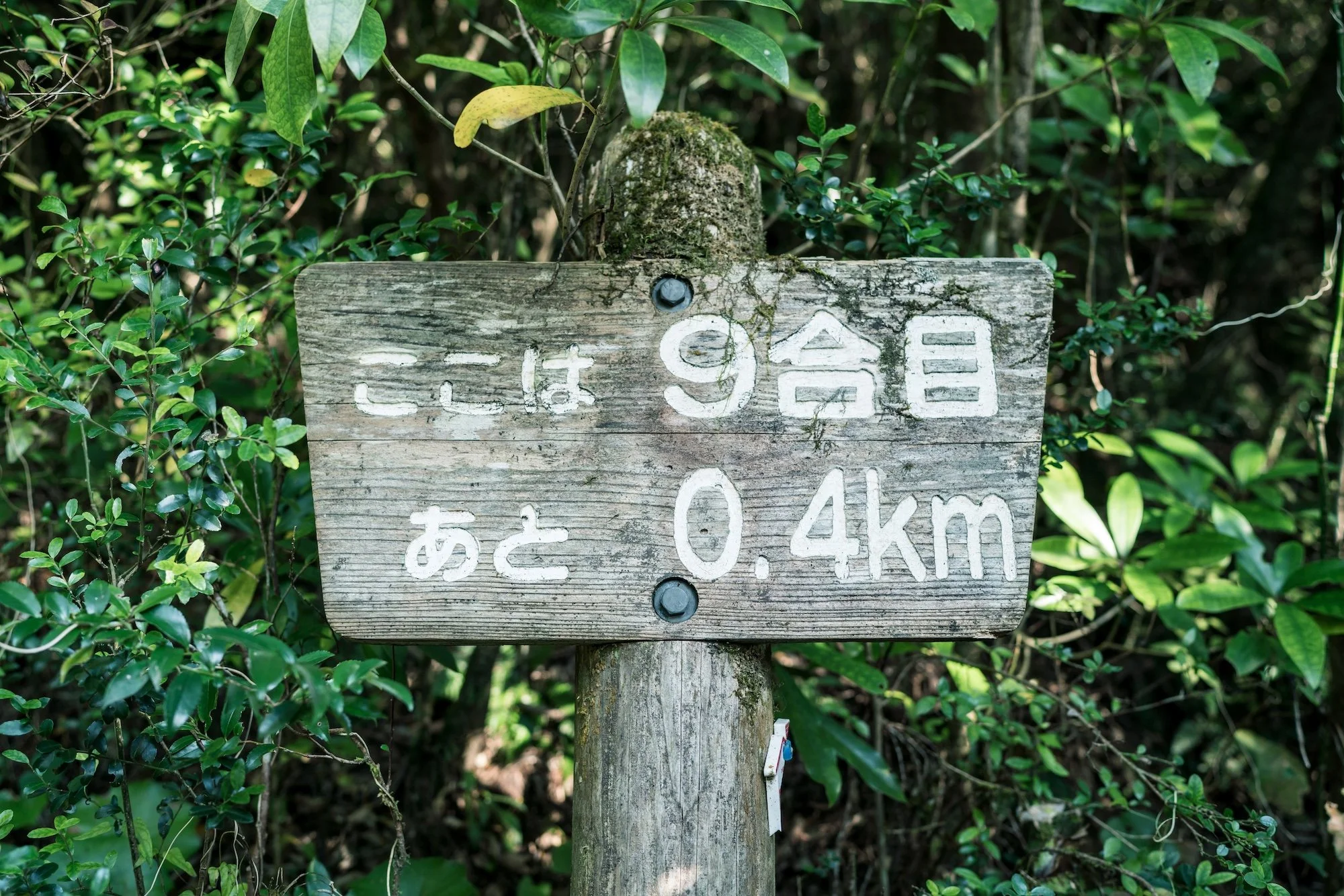 M-06921.jpg