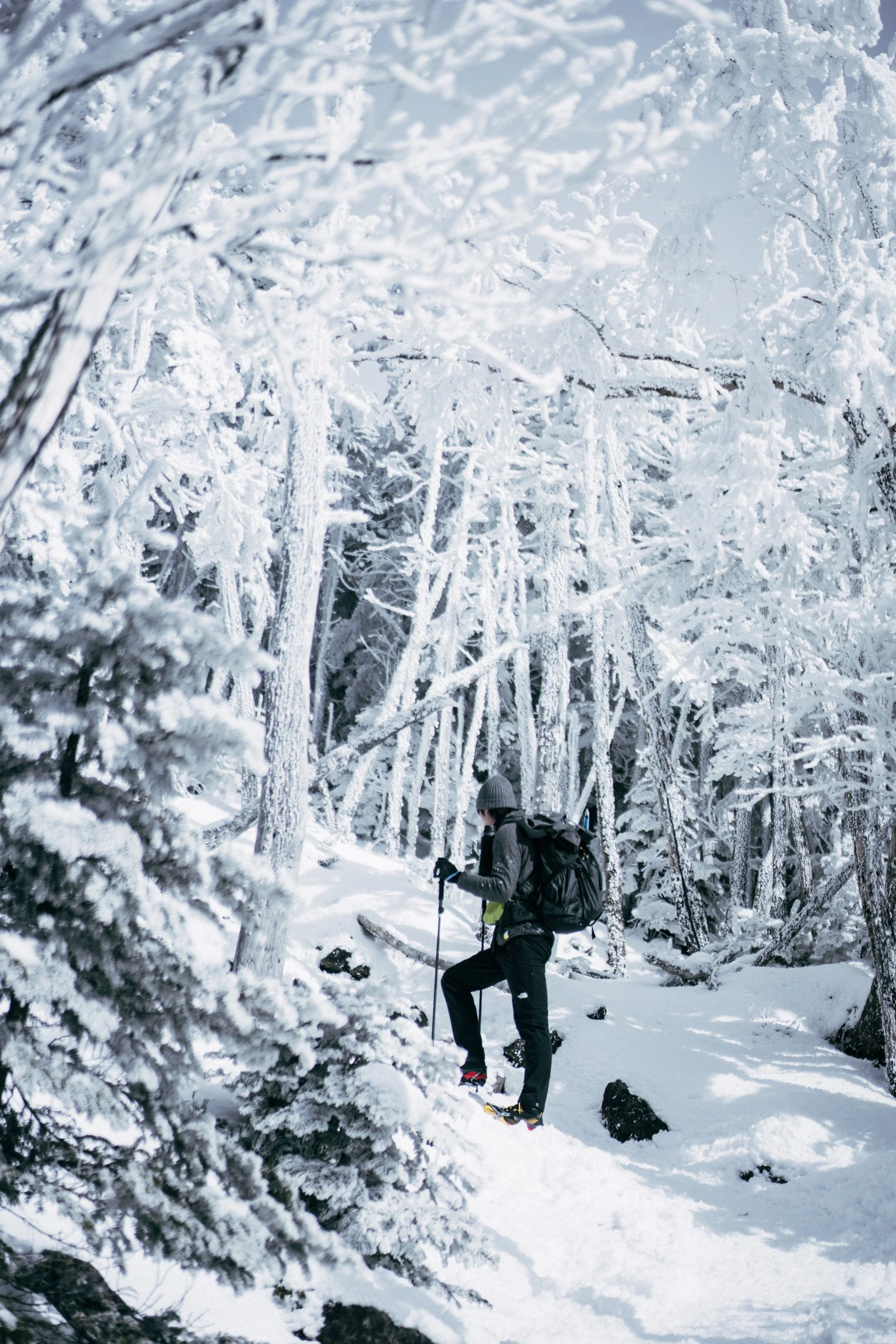 M-01743.jpg